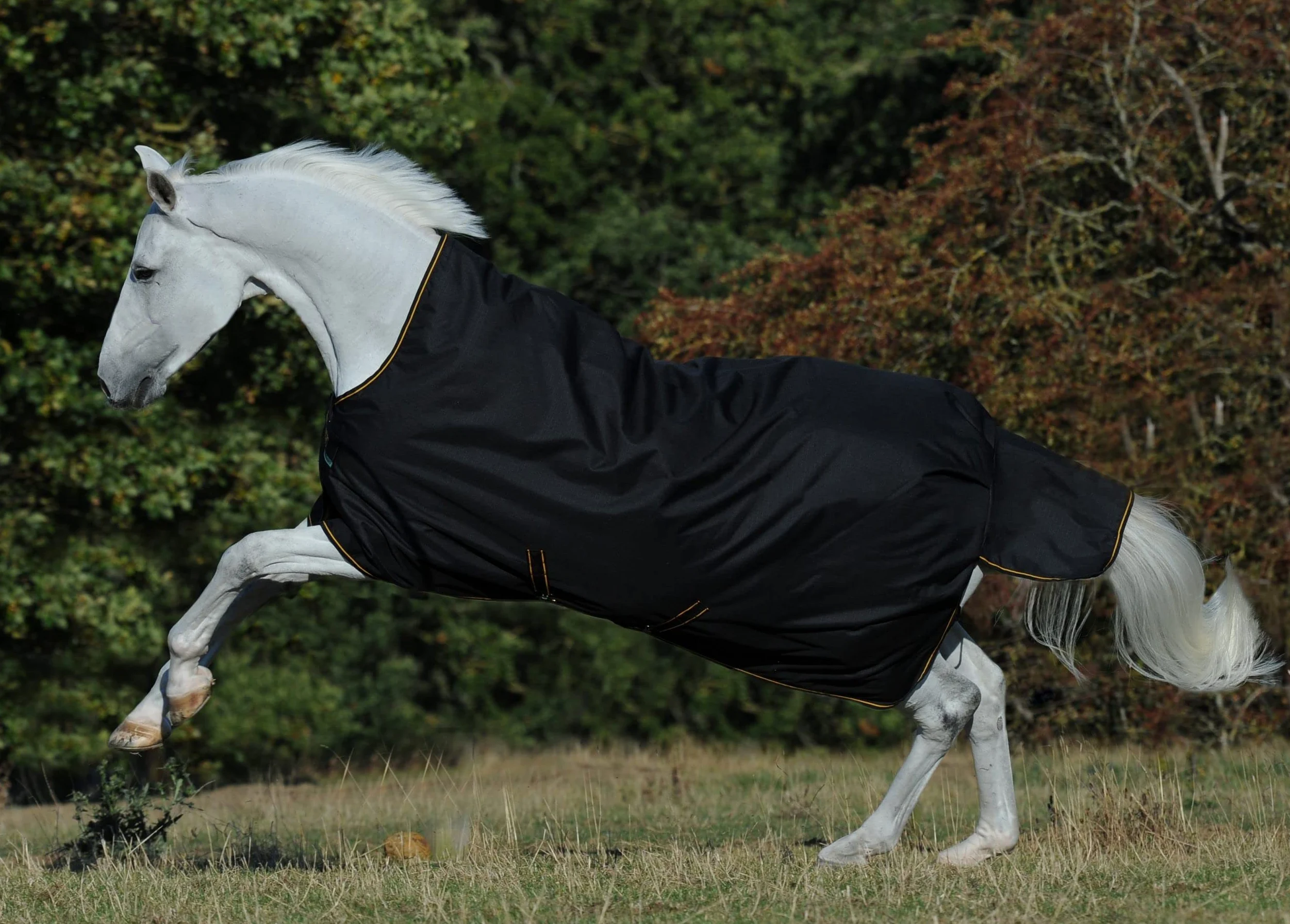 Bucas IrishTurnout - Manta para Caballo, 300 g, 165 SW/Gold