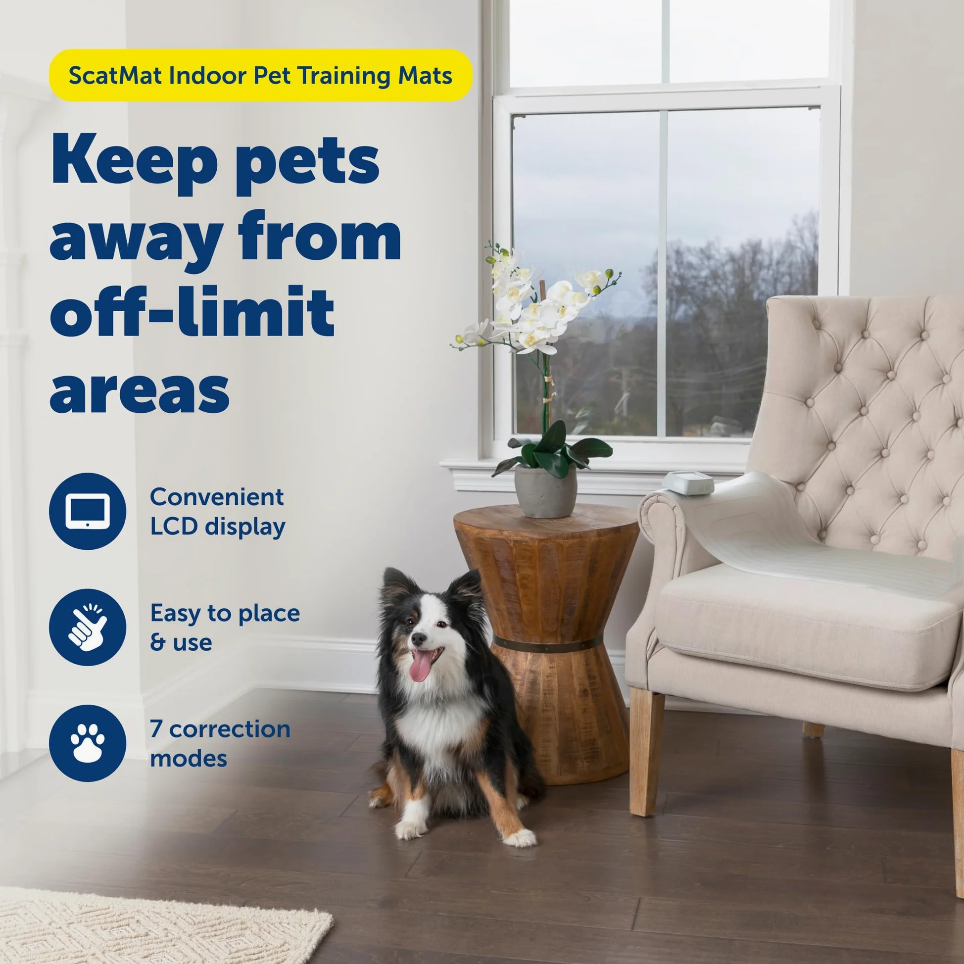 PetSafe ScatMat - Alfombrilla de entrenamiento para interiores