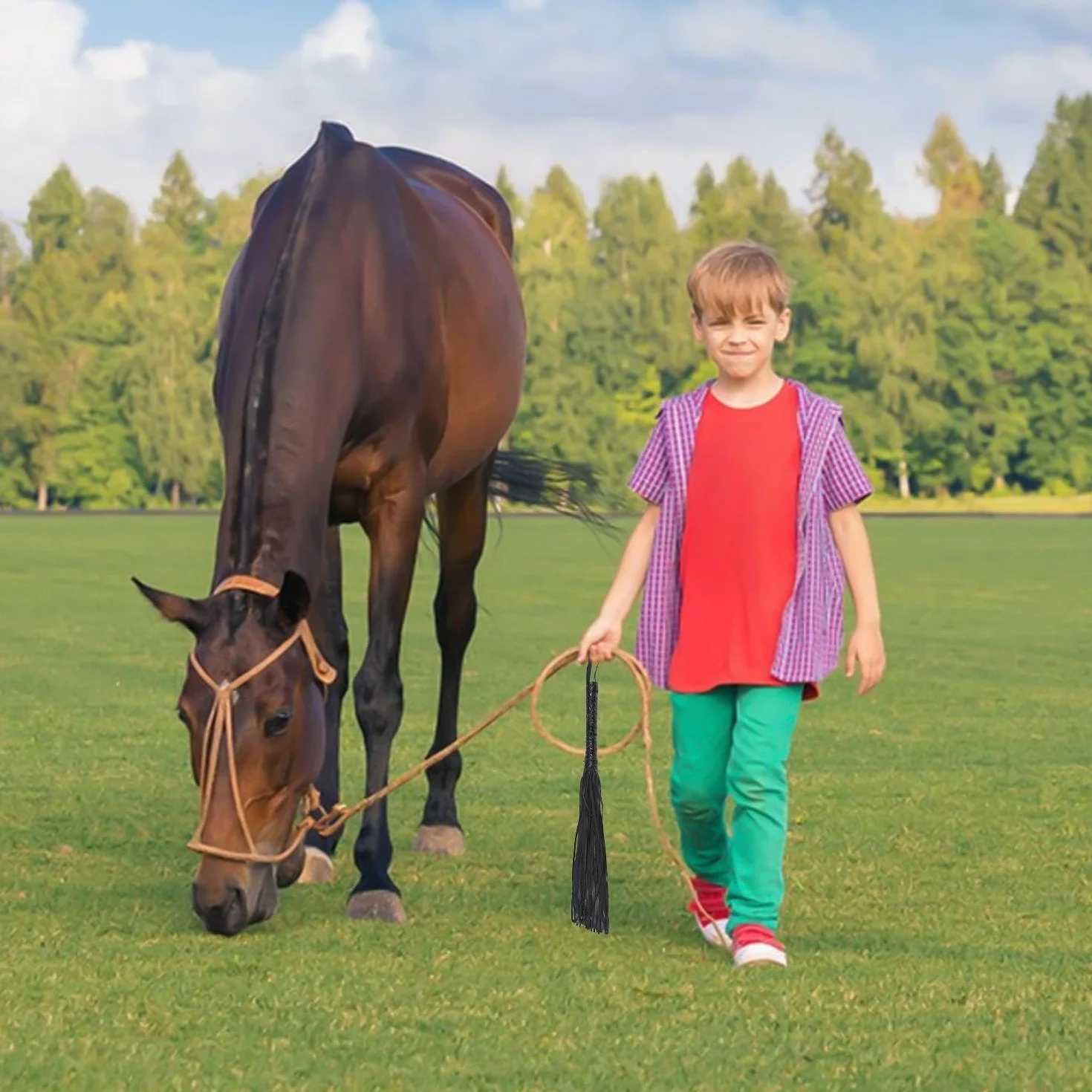 Látigo De Caballo De Cuero PU, Accesorios De Entrenamiento Ecuestre, Látigo De Cuero De Borla
