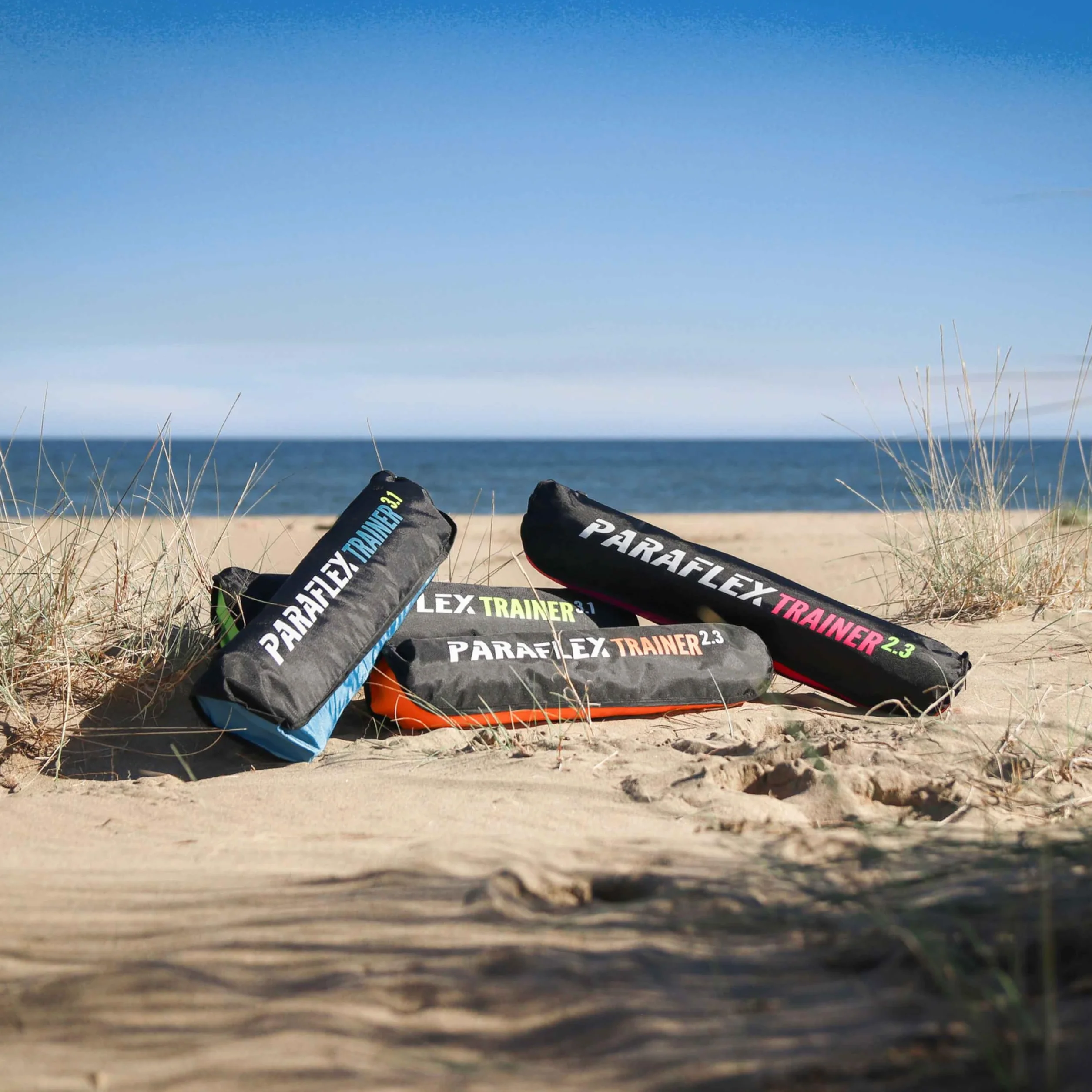 Wolkenstürmer Paraflex Trainer 3.1 Action Kite 3 Line Mat Mountainboarding