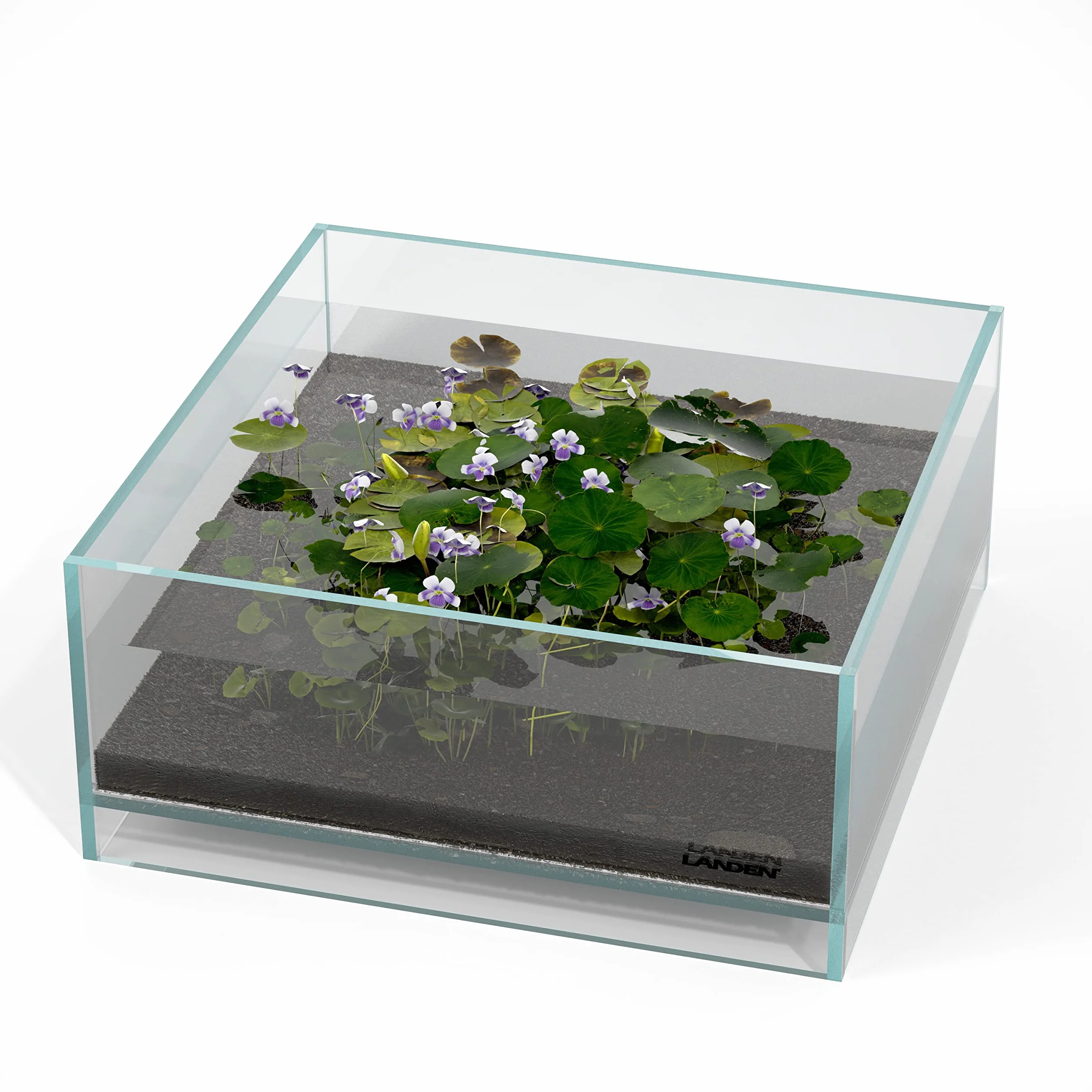 LANDEN Tanque de Aire de Vidrio para Acuario multiescena, Tanque Poco Profundo de Hierro sin Borde de 1.6 galones, 10.6 x 10.6 x 4.7 Pulgadas (27 x 27 x 12 cm), 5 mm de Grosor