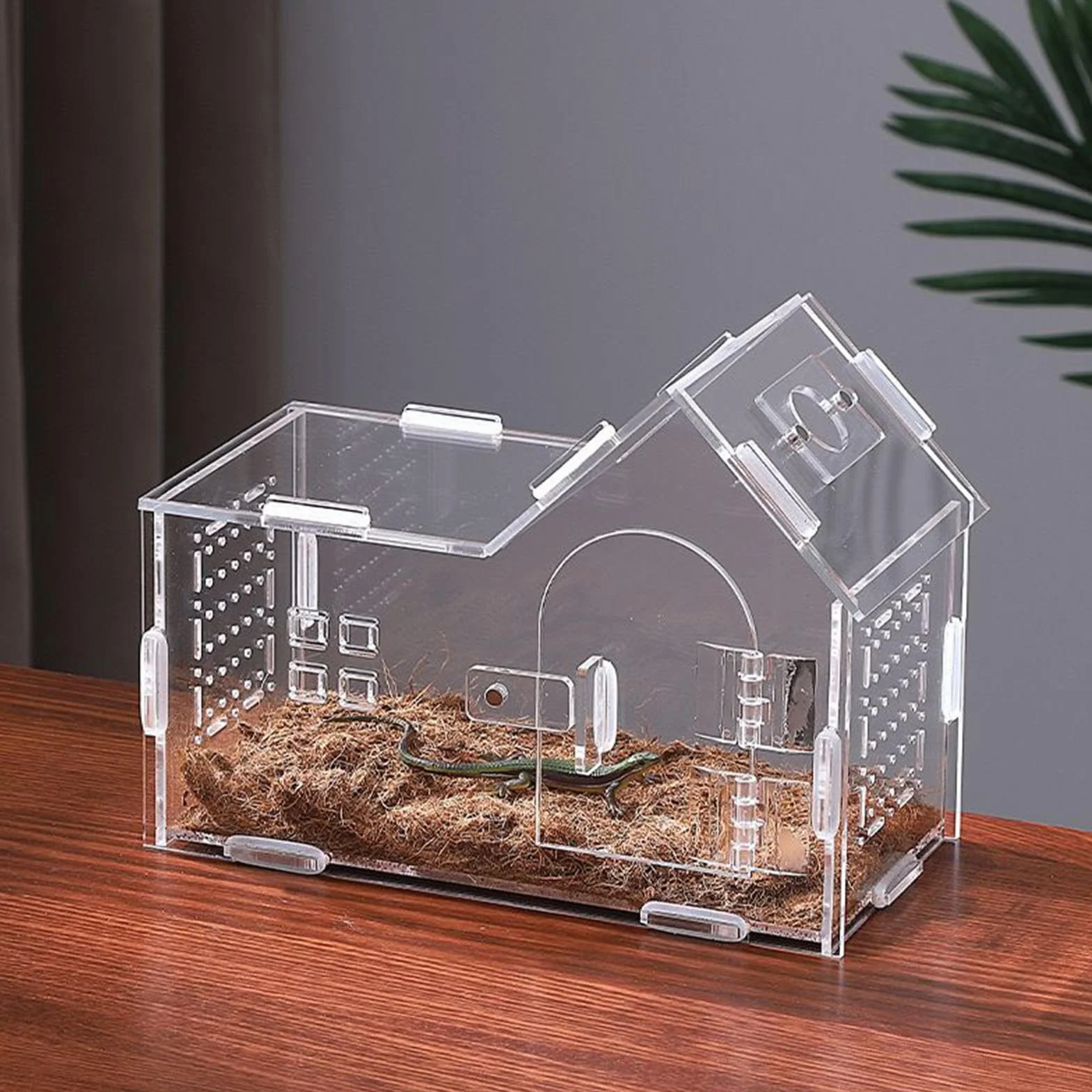 Recinto Spider - Terrario Acrílico con Puerta Magnética Y Ventilación | Casa de araña saltarina para Geckos, Ranas, lagartos, tarántulas y Mascotas arbóreas