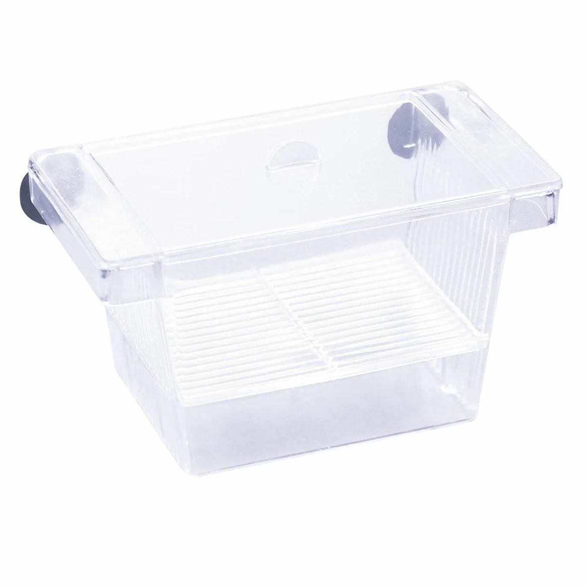 Incubadora para Peces Caja de Cría Peceras Pequeña Acuarios Accesorios con Tapa de Plástico Ventosa Caja de Plástico Transparente para Camarón Tortuga