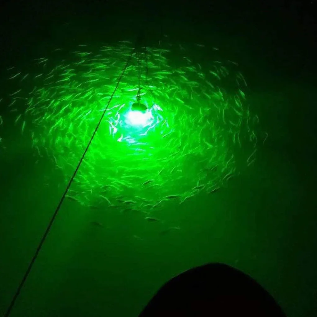 Lámpara de Pesca LED Sumergible IP68 DC/AC12-24V Verde Impermeable
