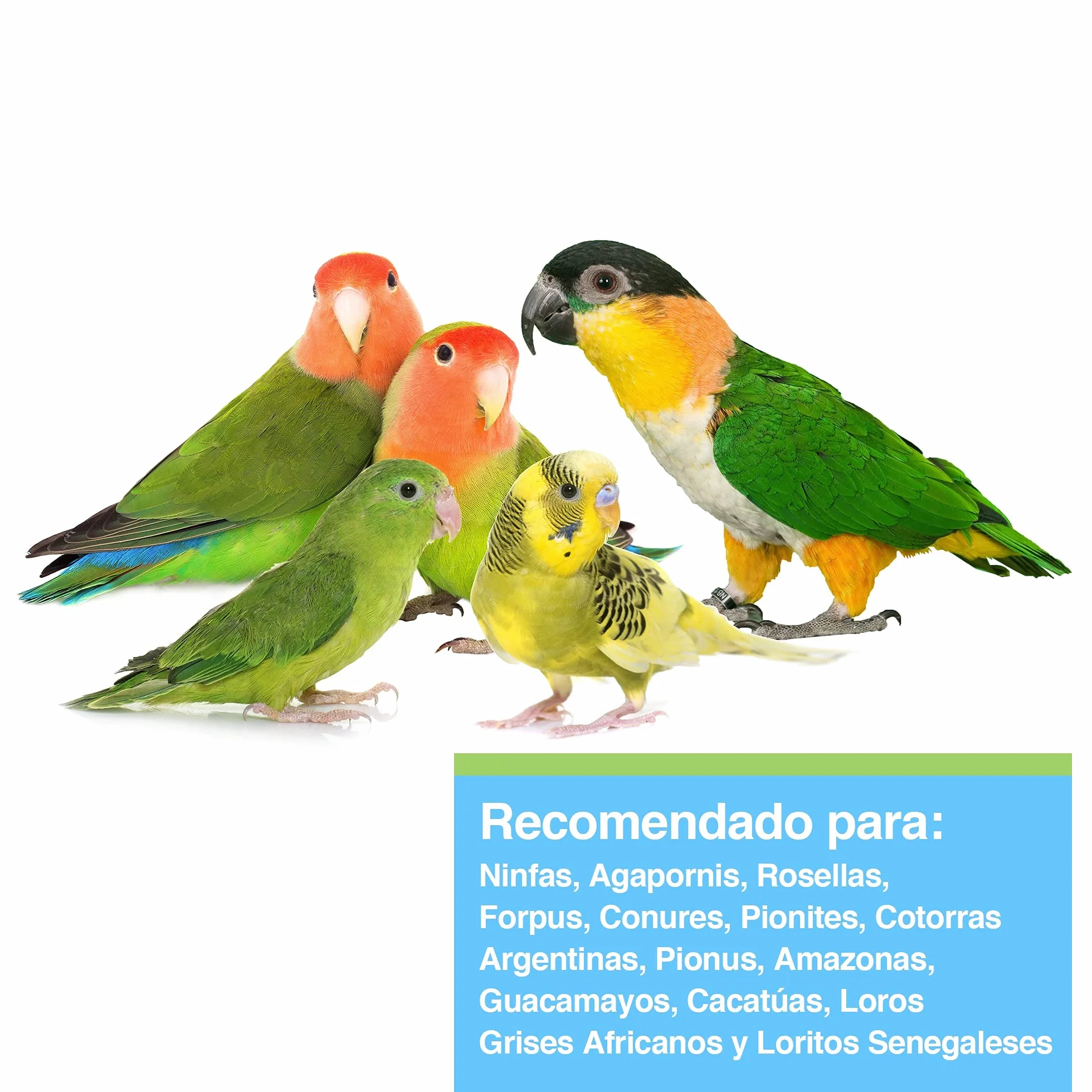 Tropican Mantenimiento para Loros - 1,8 kg