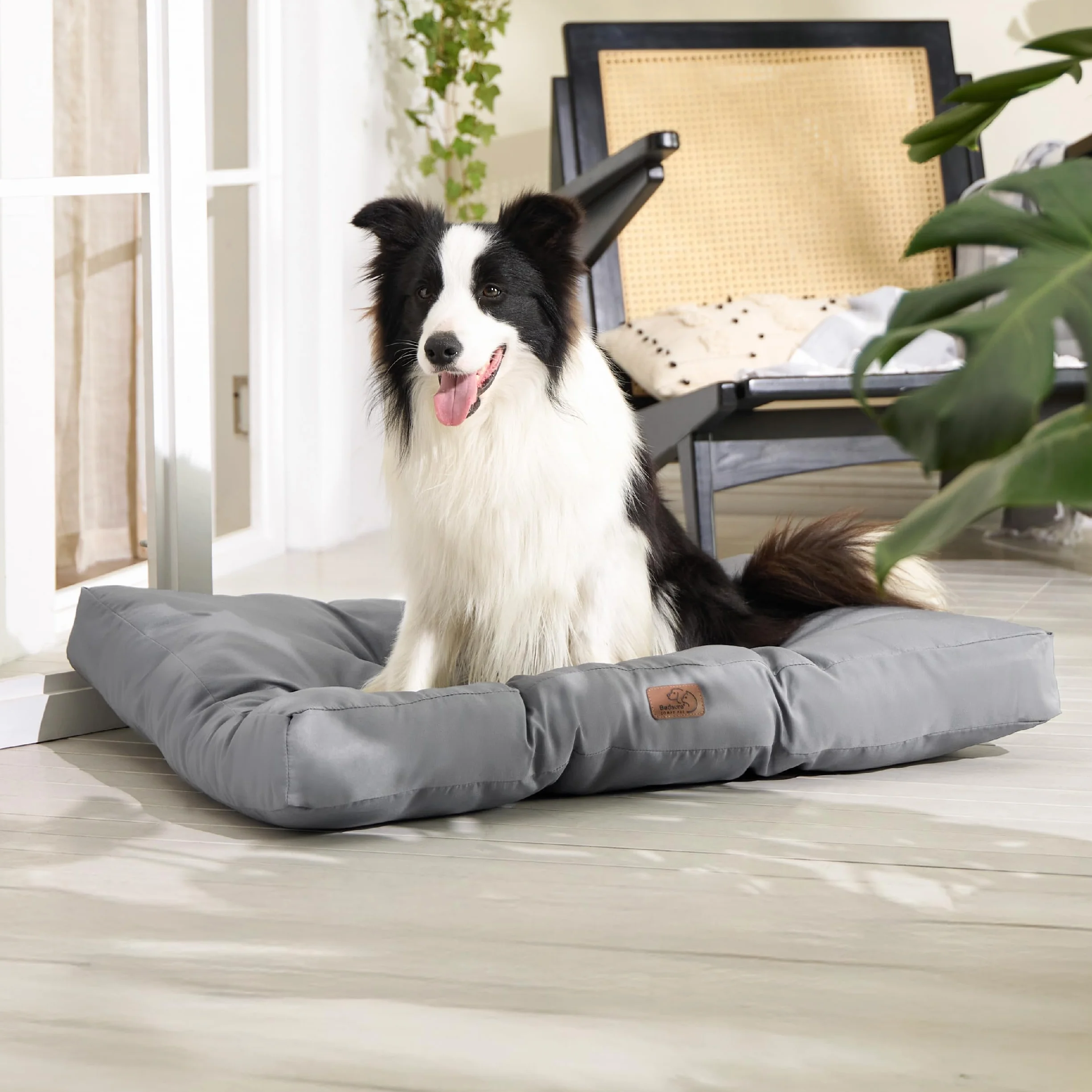 Bedsure Cama Perro Impermeable Grande - 91x68x10 cm Colchón Perro Lavable, Cojín Perro Antipelo y Suave, Gris Oscuro, L
