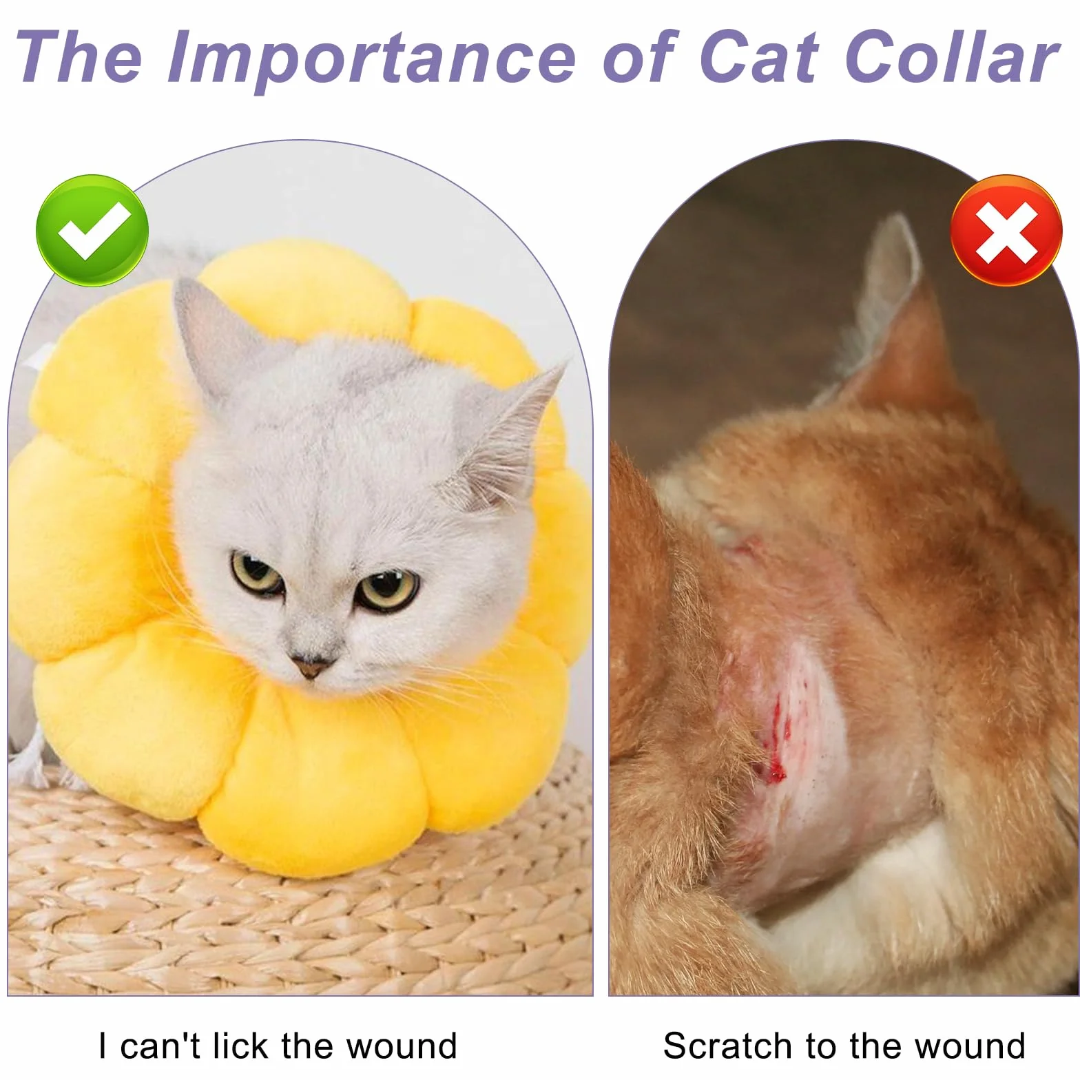 Newpop Collar Isabelino Gato, Collares Protector para Gatos, Collarin Gato de Girasol, Cono Suave del Cuello Mascotas, para Gatitos Perros Pequeños Cicatrización de Heridas Después de una Operación(M)