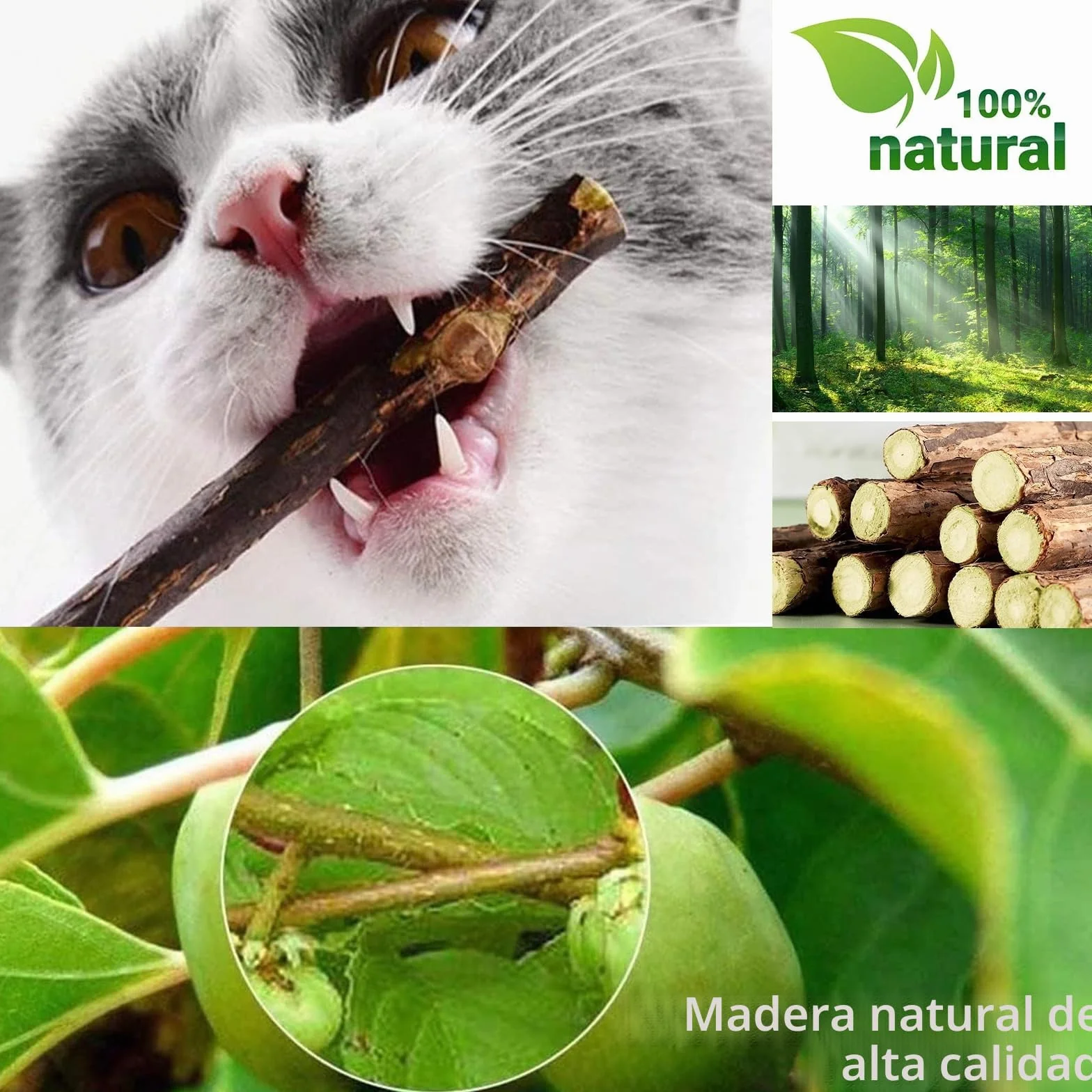 Juguete Gato,Palitos Masticables Matatabi para Gatos,Juguete para morder para Gatos Natural Matatabi Dental,Paquete de 30 Unidades
