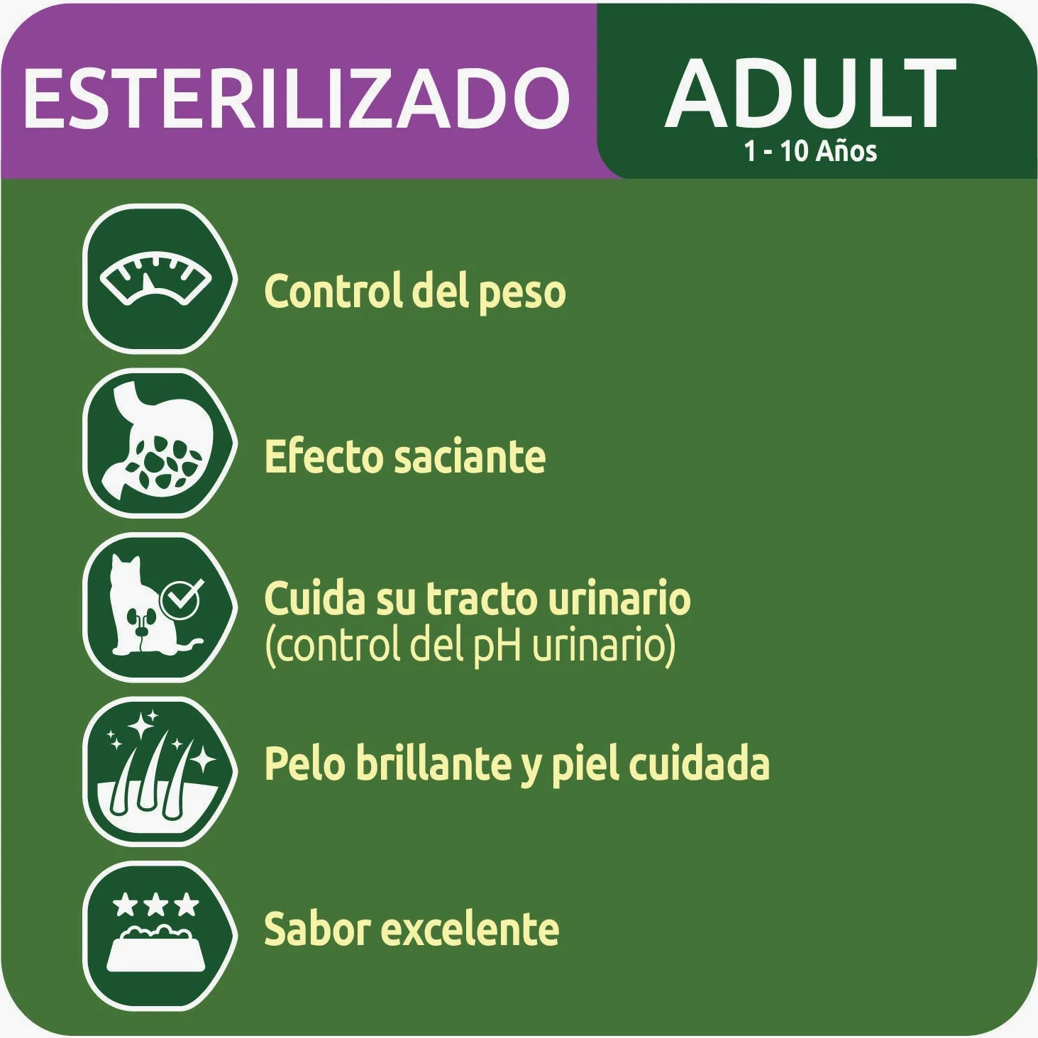 ultima Pienso para Gatos Esterilizados Adultos con Buey, Pack de 8 x 800g - Total: 6.4kg & Pienso para Gatos Esterilizados Adultos con Salmón 4 x 1.5 kg