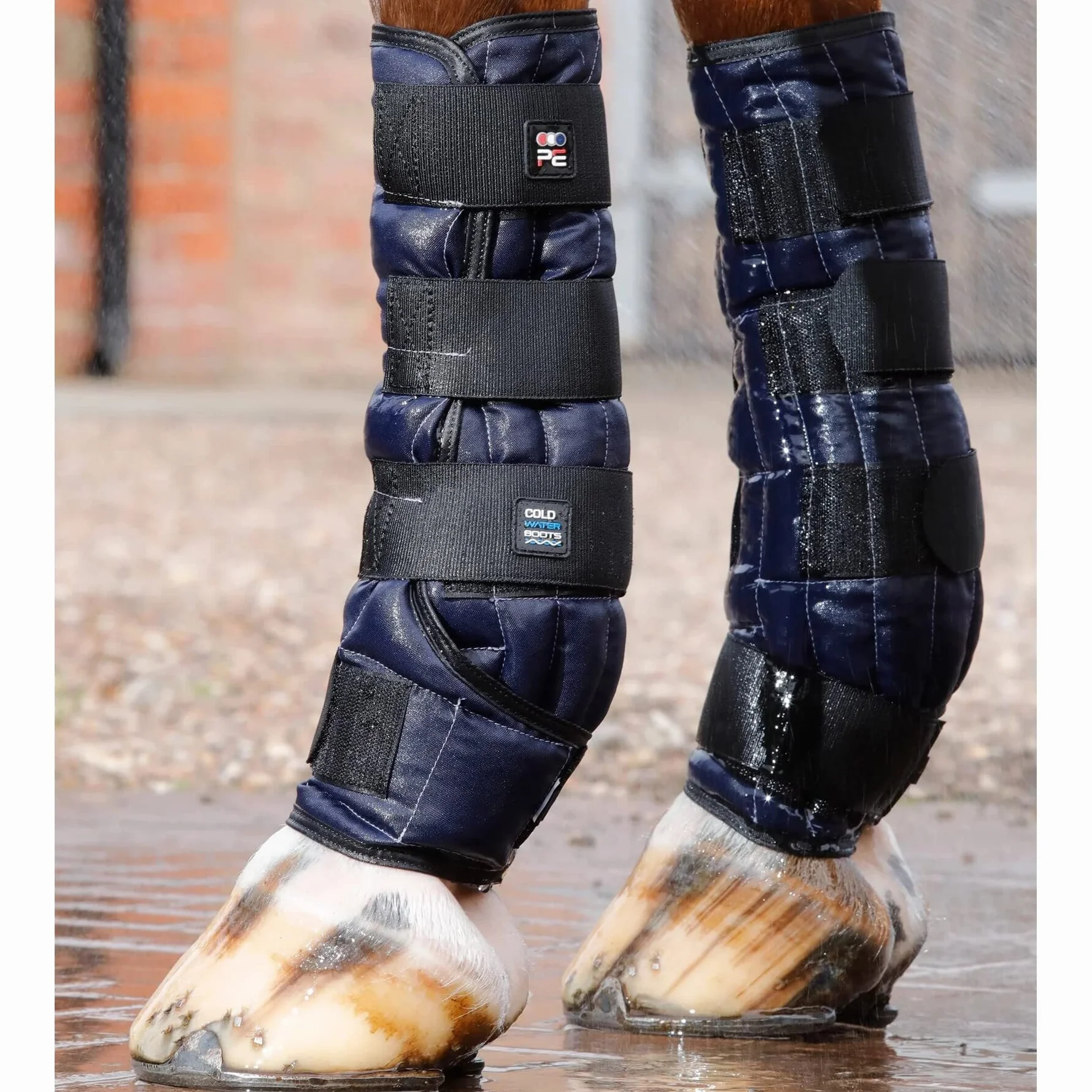 Premier Equine Botas de Agua fría para Caballos