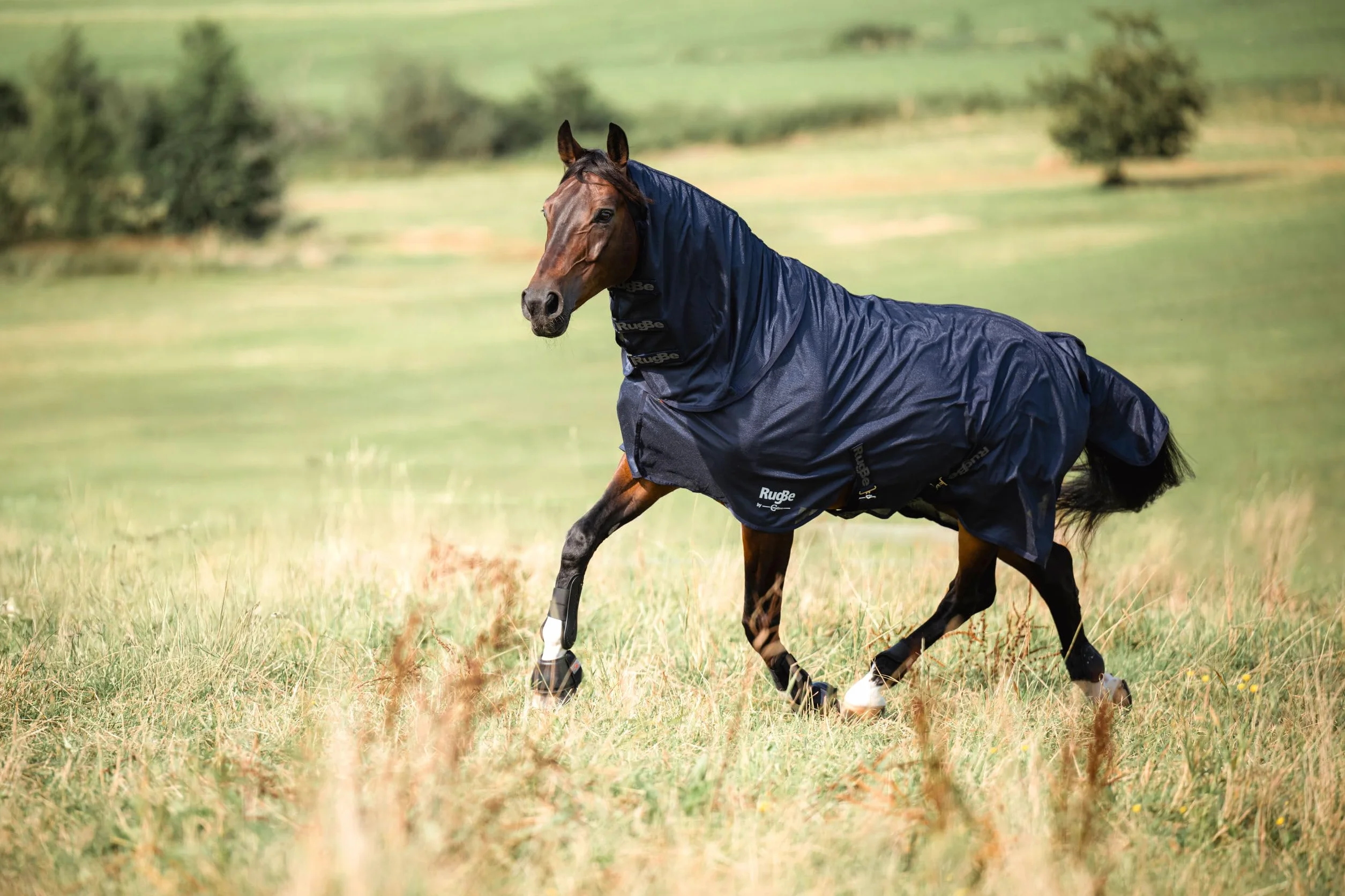 Covalliero Manta antimoscas RugBe SuperFly, manta para caballos, manta de montar, azul marino, 115 cm, 165 cm, caballo, lavable a máquina a 30 °C