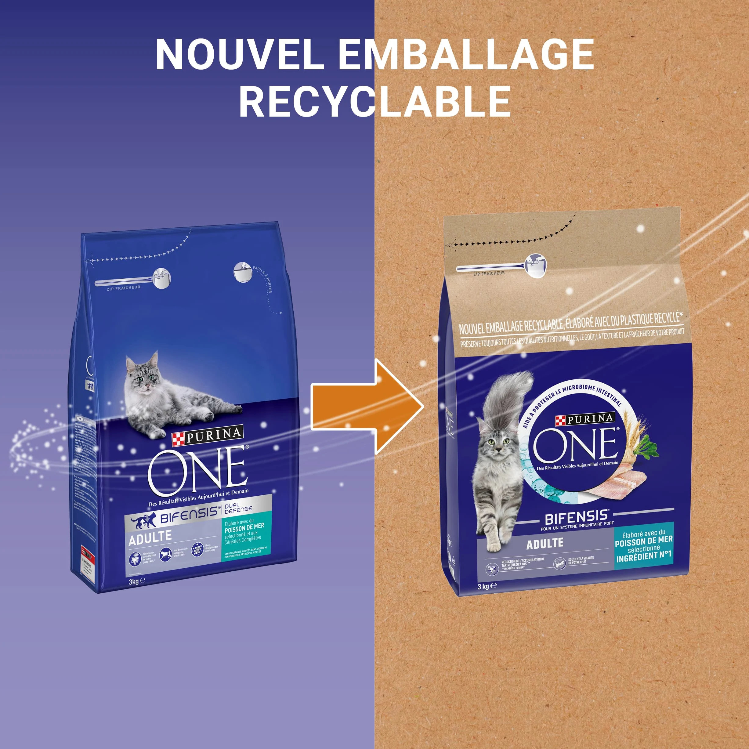Purina One Gato Adulto Pez Cereales Completos 3KG | Croquetas Gato Adulto Sabor Pescado de Mar - Fortalece las defensas naturales y sistema urinario - Salud Gato