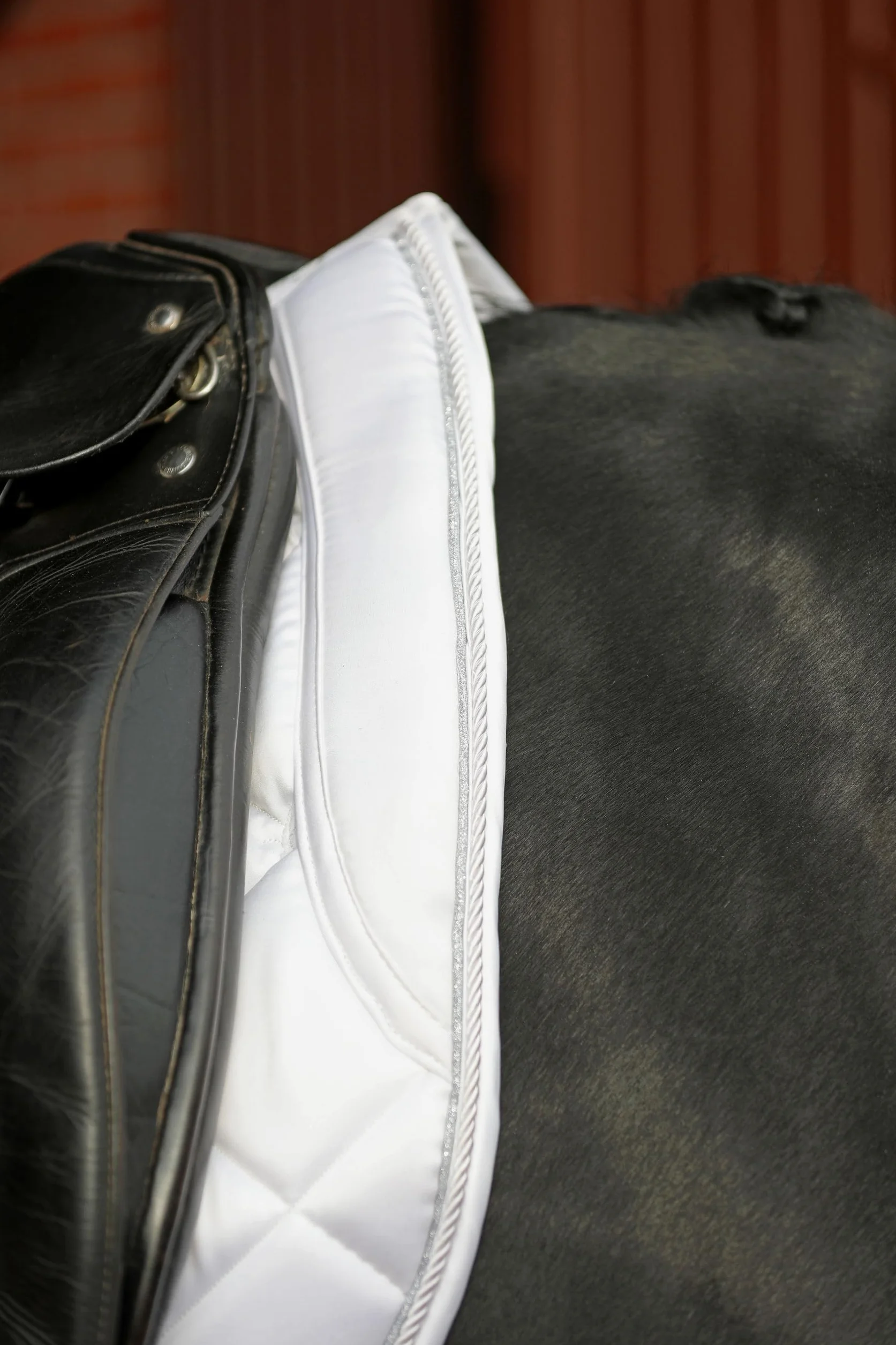 Covalliero Manta Empara White, VS