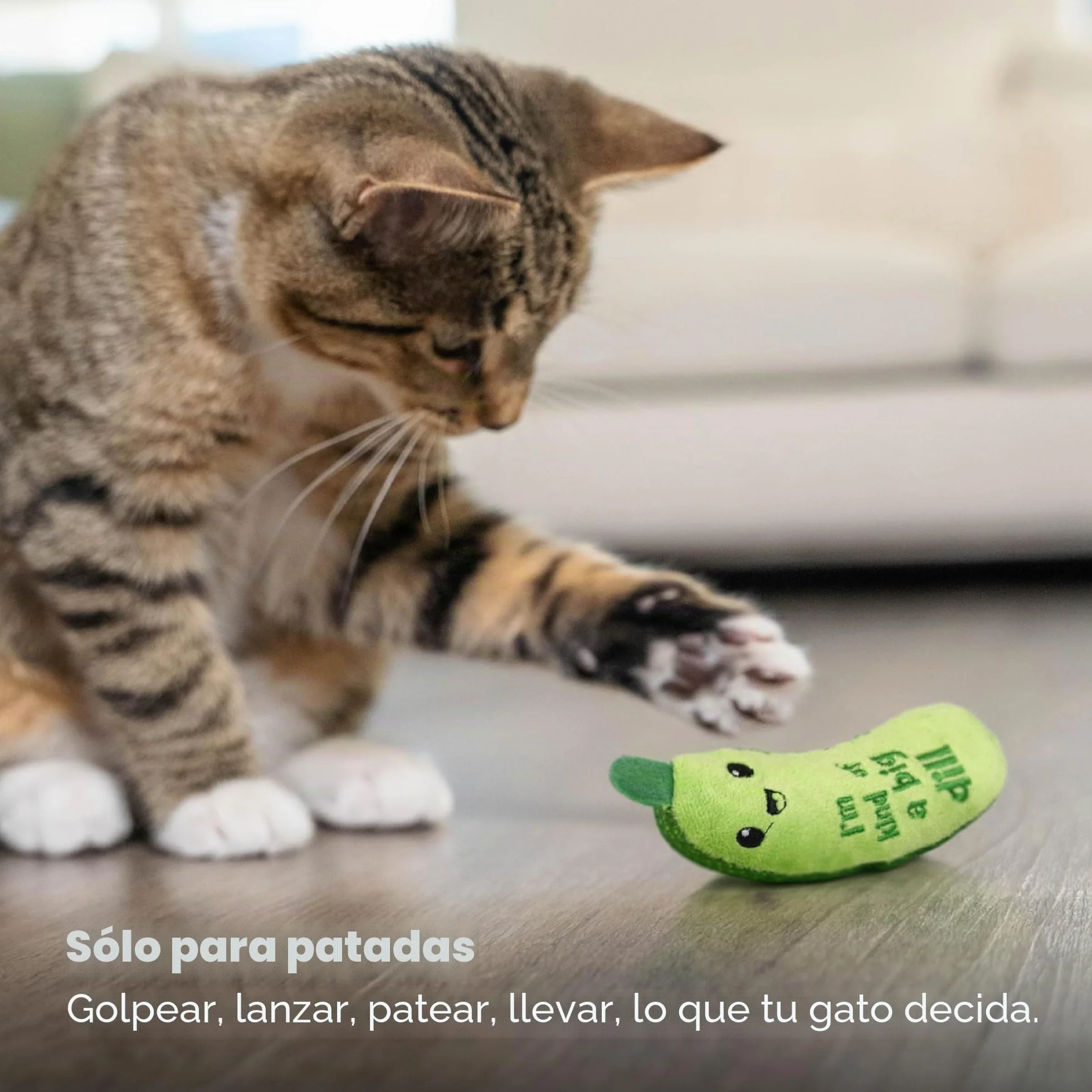 Petstages Juguete Dental crujiente para Gatos con Hierba gatera