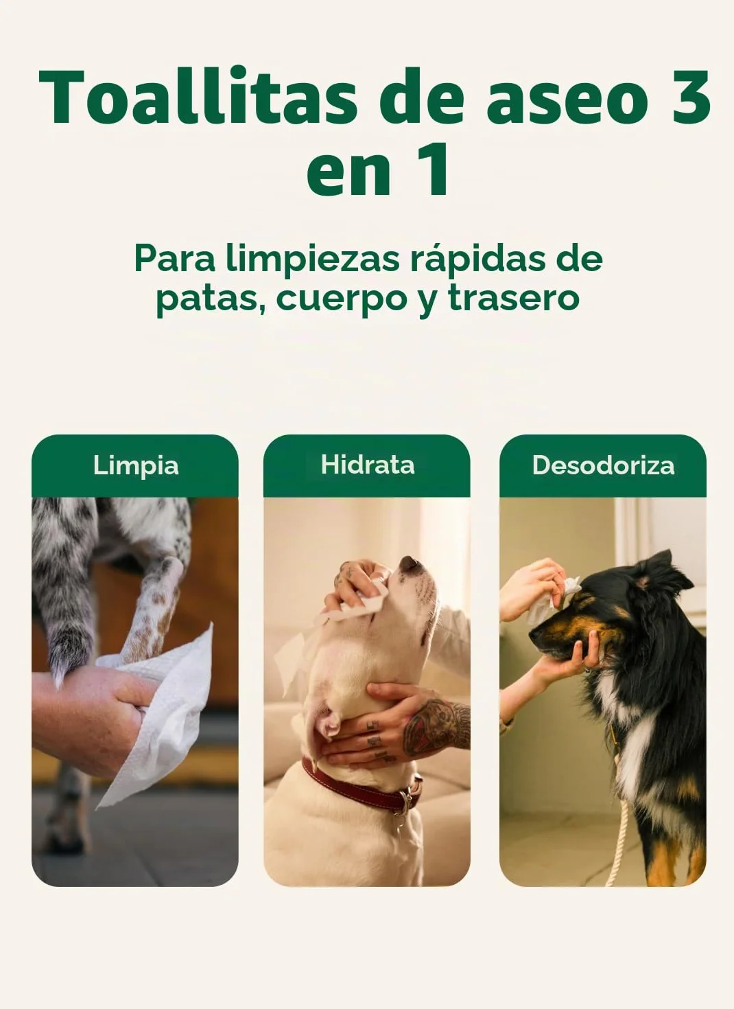 Earth Rated Toallitas hipoalergénicas para Perros, para Limpiar y Eliminar olores de Patas, Cuerpo y Trasero, Cachorros y Perros Adultos, Aroma a Lavanda, 100 Unidades