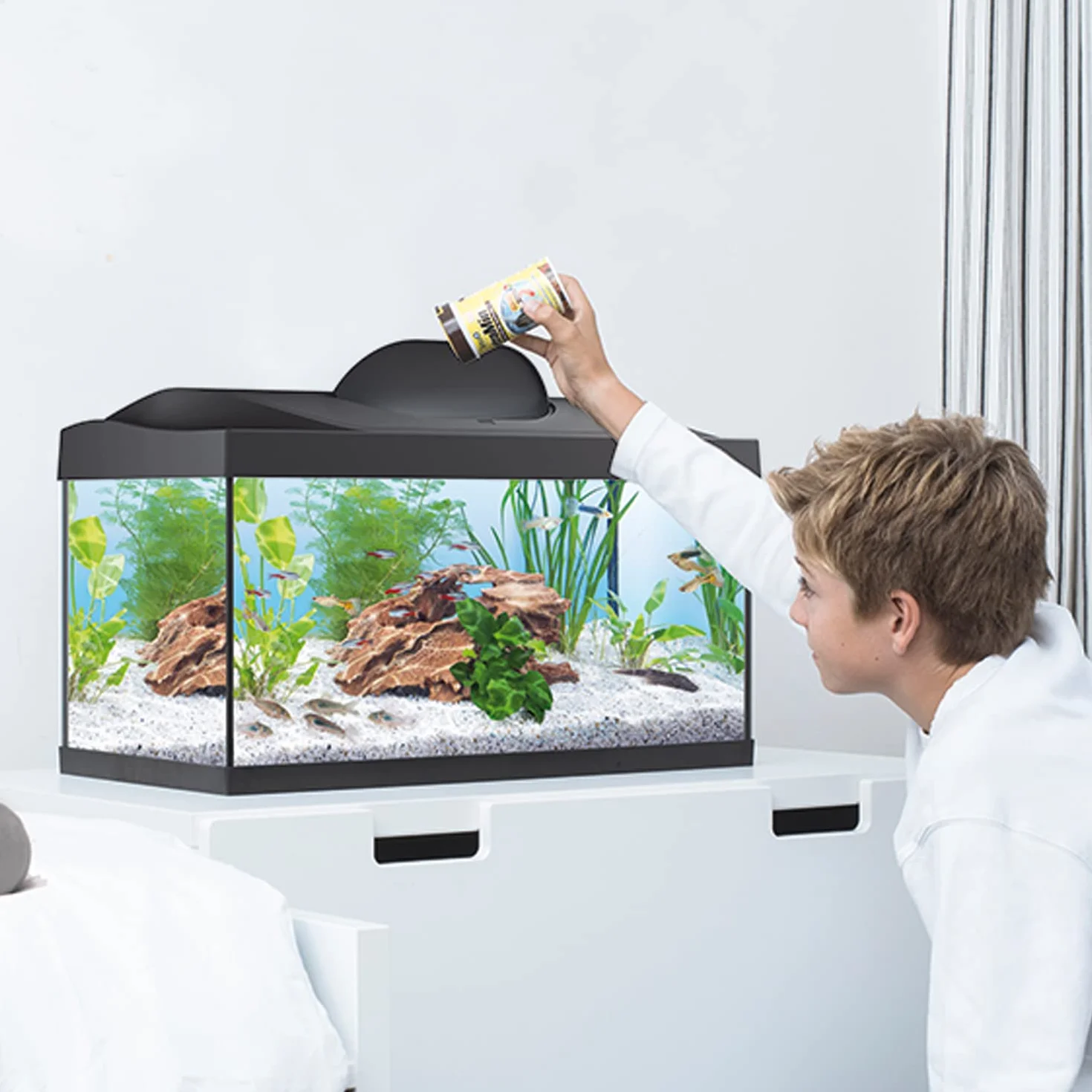 Tetra Starter Line LED 54L Acuario de inicio grande, bombilla LED con modo luz diurna/nocturna