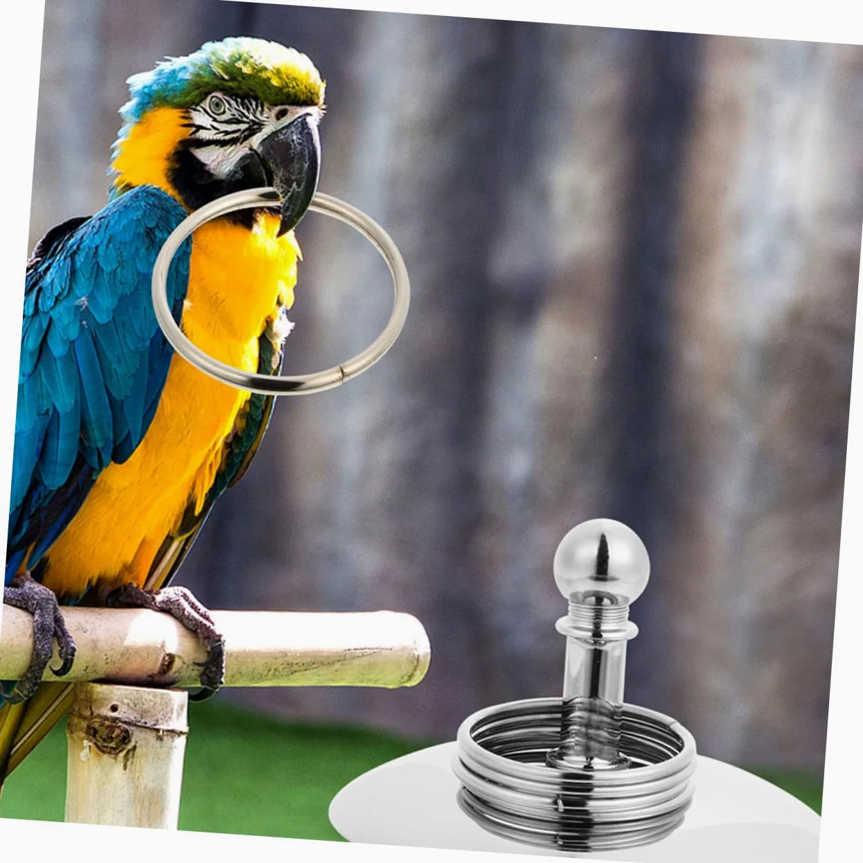 Beaupretty Anillo Loros 4 Juegos Bicicleta Loro Juguetes Educativos Xuan Feng El Plastico El Pájaro Juguetes Interactivos para Loros