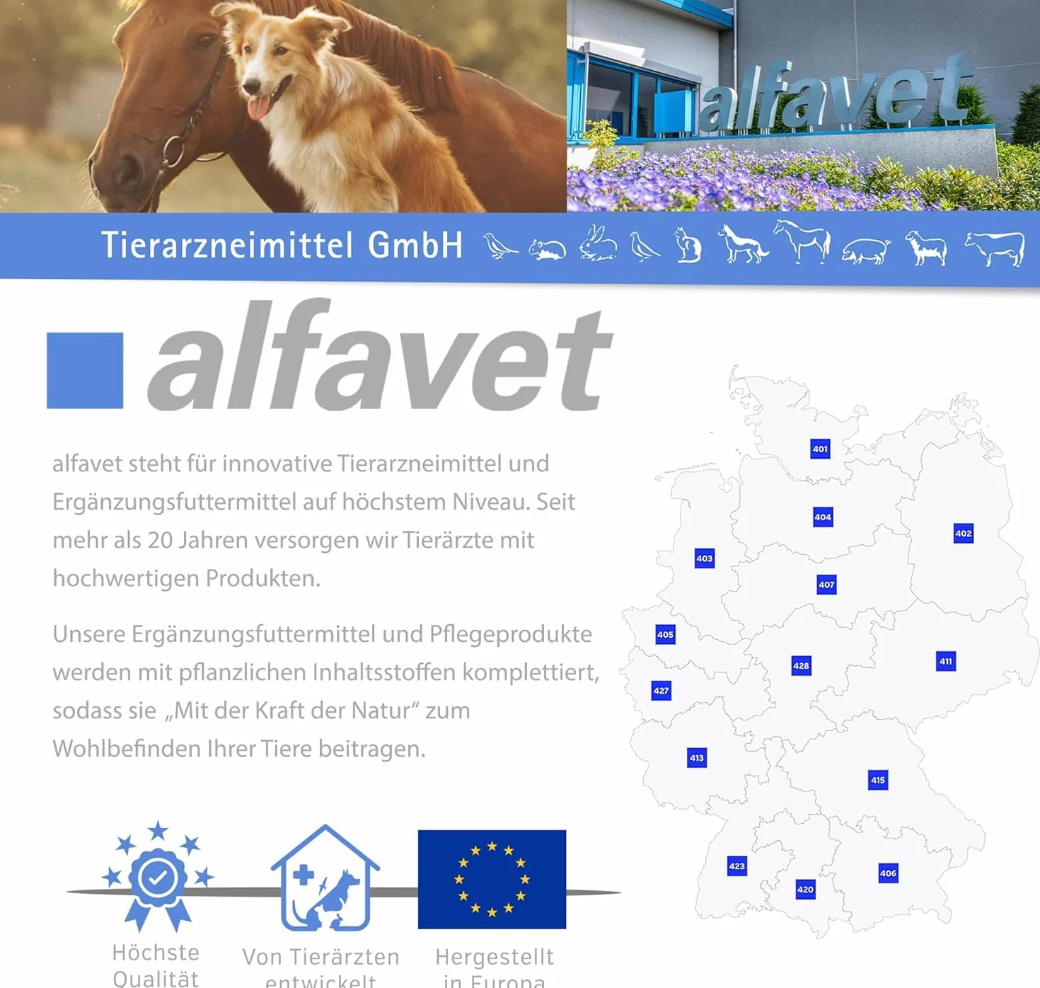 Alfavet RodiCare Hairball - alimento complementario para Conejos Enanos y cobayas - Ayuda a Eliminar Las Bolas de Pelo - 3 inyectores de 12 ml