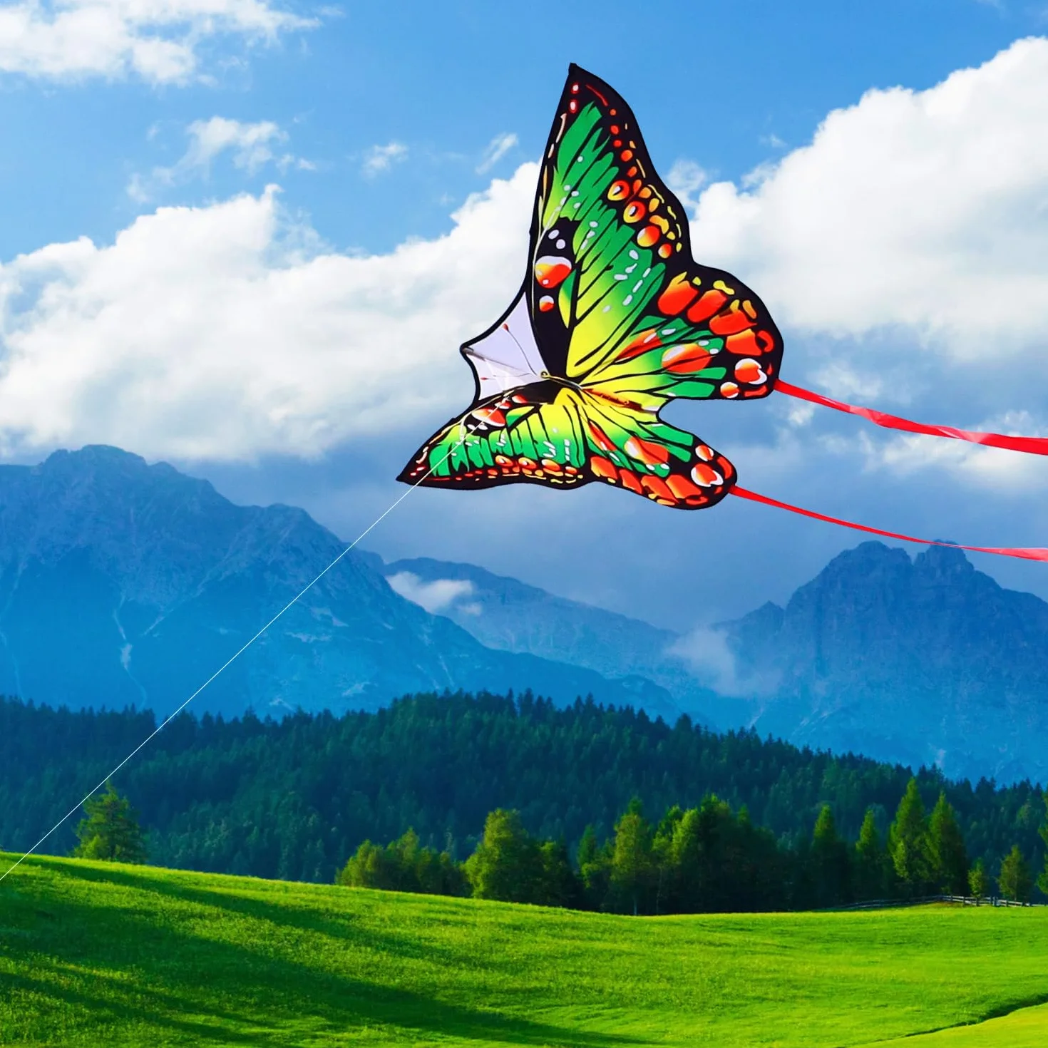 HONBO Butterfly Kite 55 x 28 inch Large Beginner Kite for Kids Adults Easy to Fly Outdoor Beach