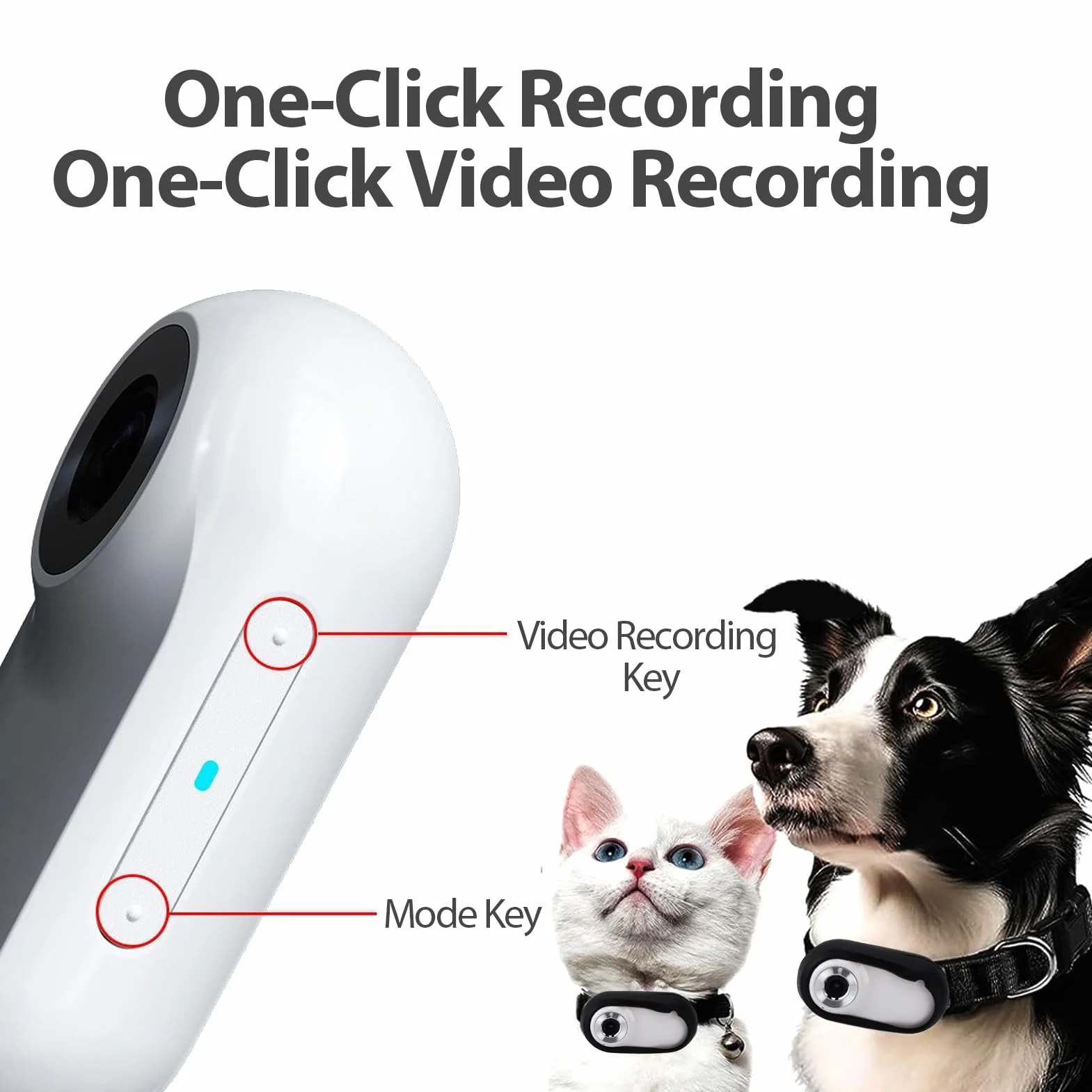 Denash Cámara para Collar para Mascotas, Pantalla LCD Recargable USB Gran Angular 1080P 170°, Cámara de Movimiento para Perros Gatos con 2-3 Horas de Tiempo de Trabajo, para Ciclismo de