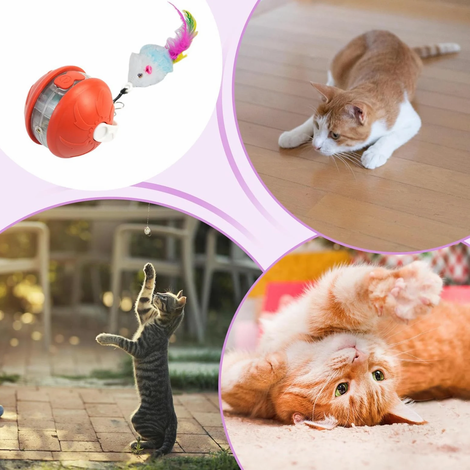 Juguetes para Gatos， Juguetes Inteligentes for Gatitos Bolas Automáticas | Accesorios de Entrenamiento Ejercicio for Mascotas Seguros y silenciosos(Red)