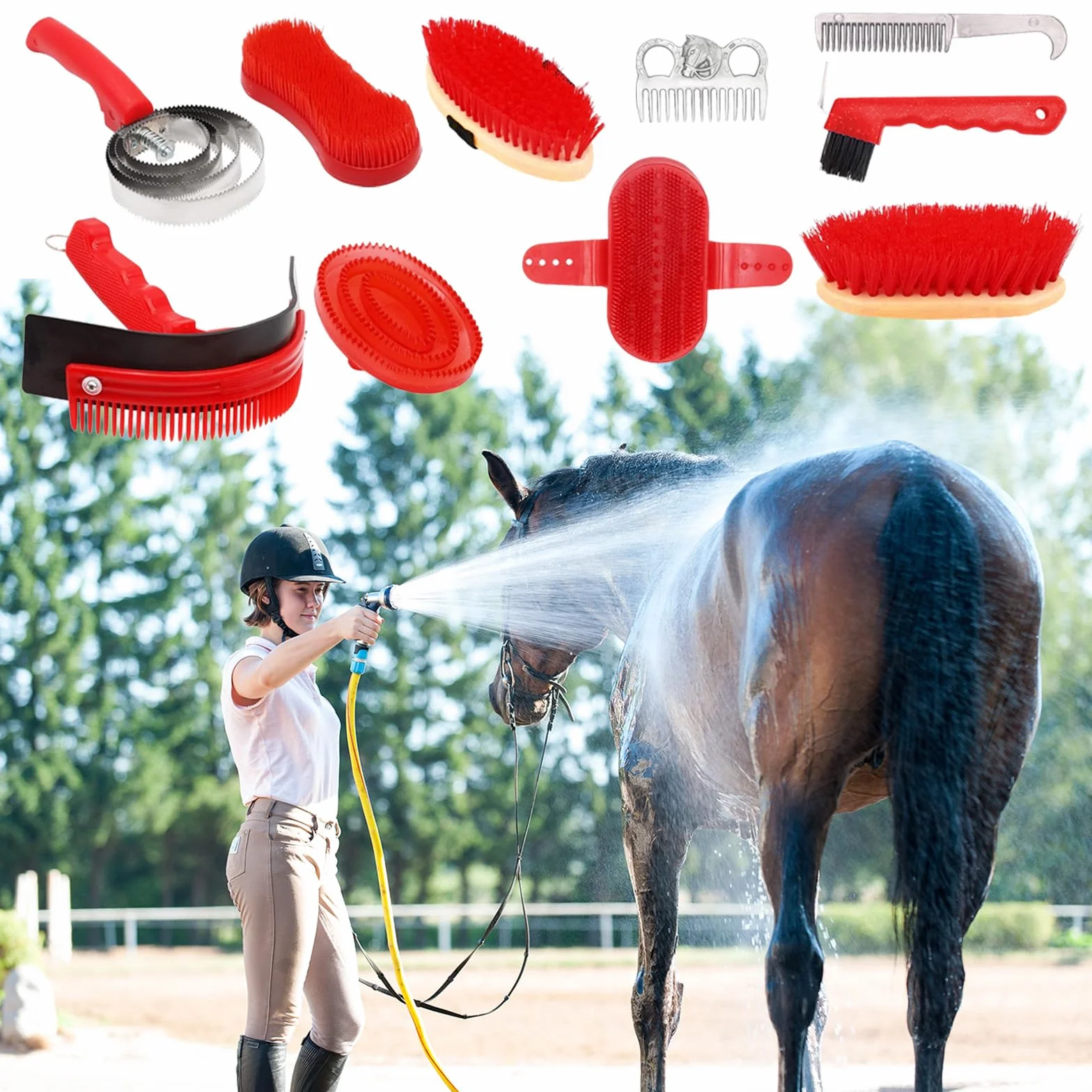 Cepillos Para Caballos, 10PCS Juego De Cuidado De Caballos Juego De Cuidado De Cepillos Kit De Cuidado De Caballos Limpieza De Caballos Cepillo Ecuestre Accesorios Con Bolsa De Almacenamiento