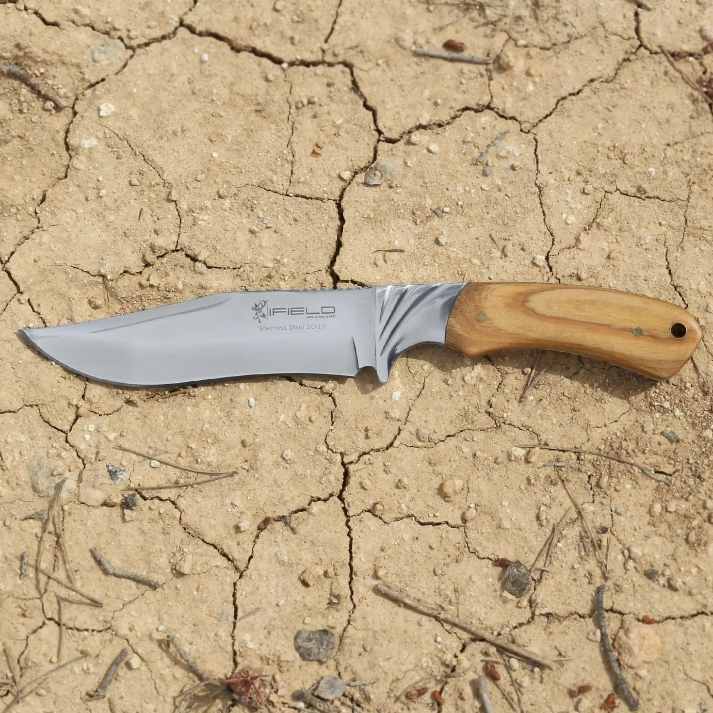 iFIELD Cuchillo de caza Camper EL29014, mango Olivo, hoja 14 cm, total 26 cm, virola acero, funda piel marrón