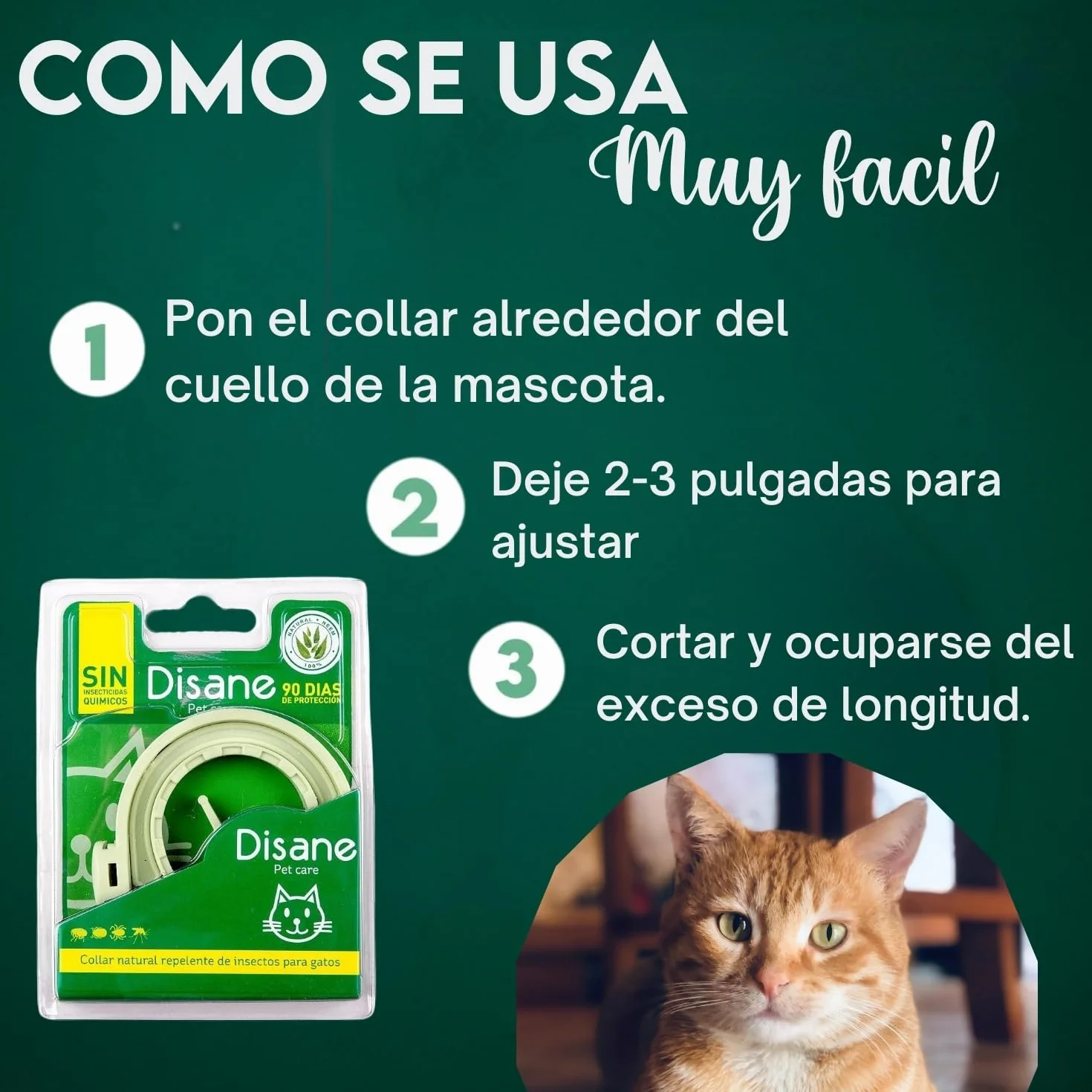 DISANE Collar Antiparasitario para Gatos 100% Natural | 3 Meses de Protección Contra Insectos y Parásitos: Repelente de Pulgas, Garrapatas y Mosquitos | Collar Antipulgas Gato Adulto y Cachorro