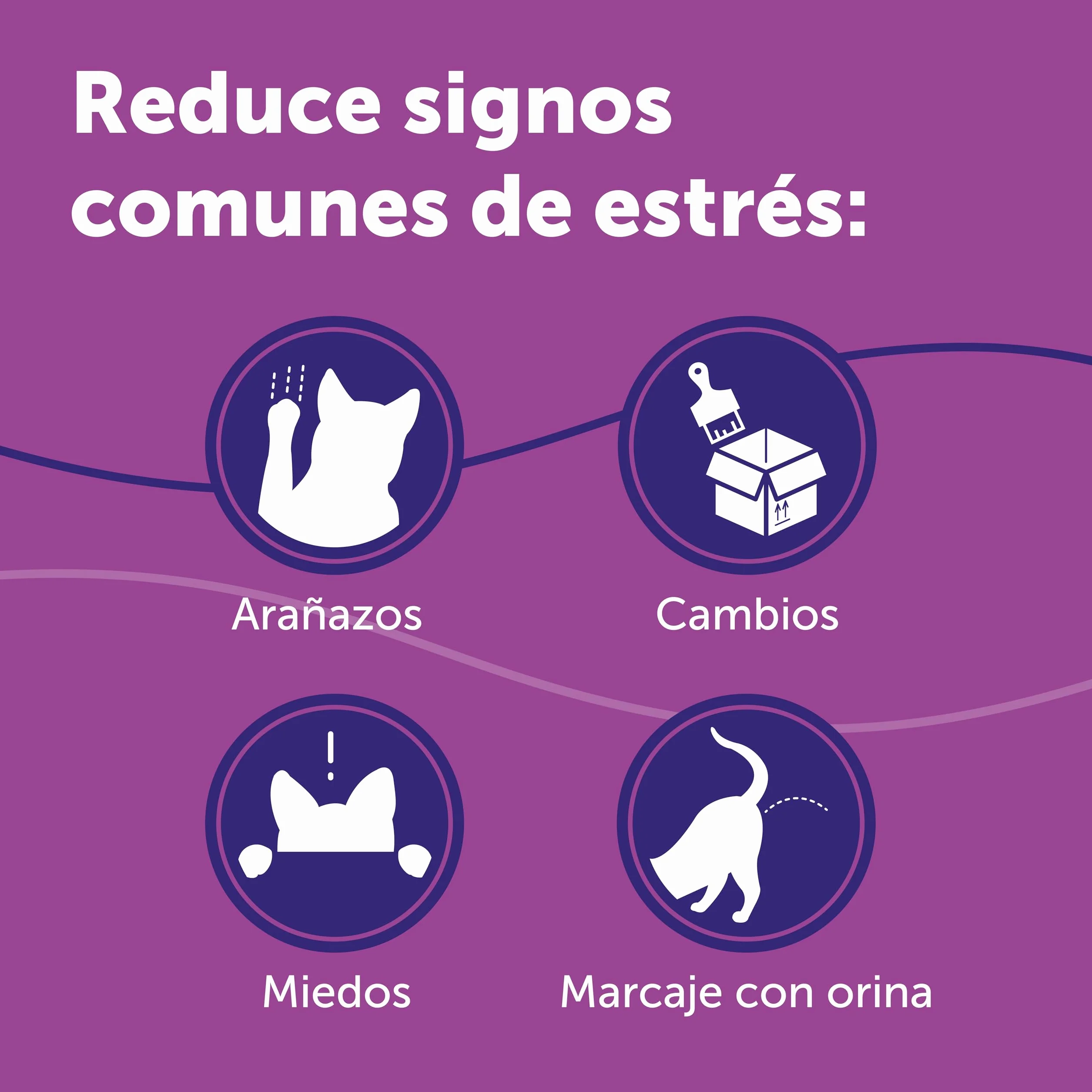 FELIWAY Classic - Difusor + Recambio de feromonas calmantes para gatos (30 días, 48 ​​ml) - Ayuda a reducir los signos más comunes de estrés. Recomendado por veterinarios. Tranquilidad y bienestar.