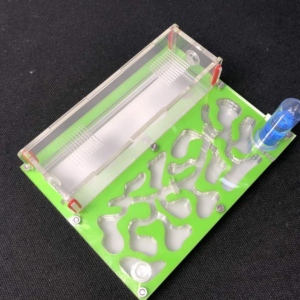 Formicarium Educativo para Granja de Hormigas para Tubo de ensayo de Hormigas en Vivo Humedad Gran Espacio Nido de Hormigas de acrílico, Hormigas Insectos (Azul Cielo)