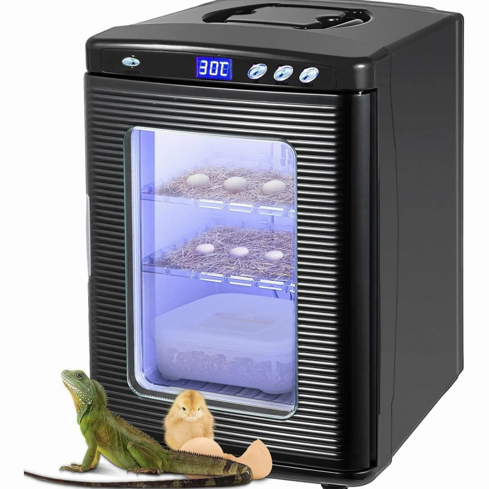 Incubadora de reptiles, refrigeración y calefacción, control de temperatura dual de 5 a 60 °C, incubadora de huevos de reptiles, incubadora de laboratorio científico con termostato de refrigeración y
