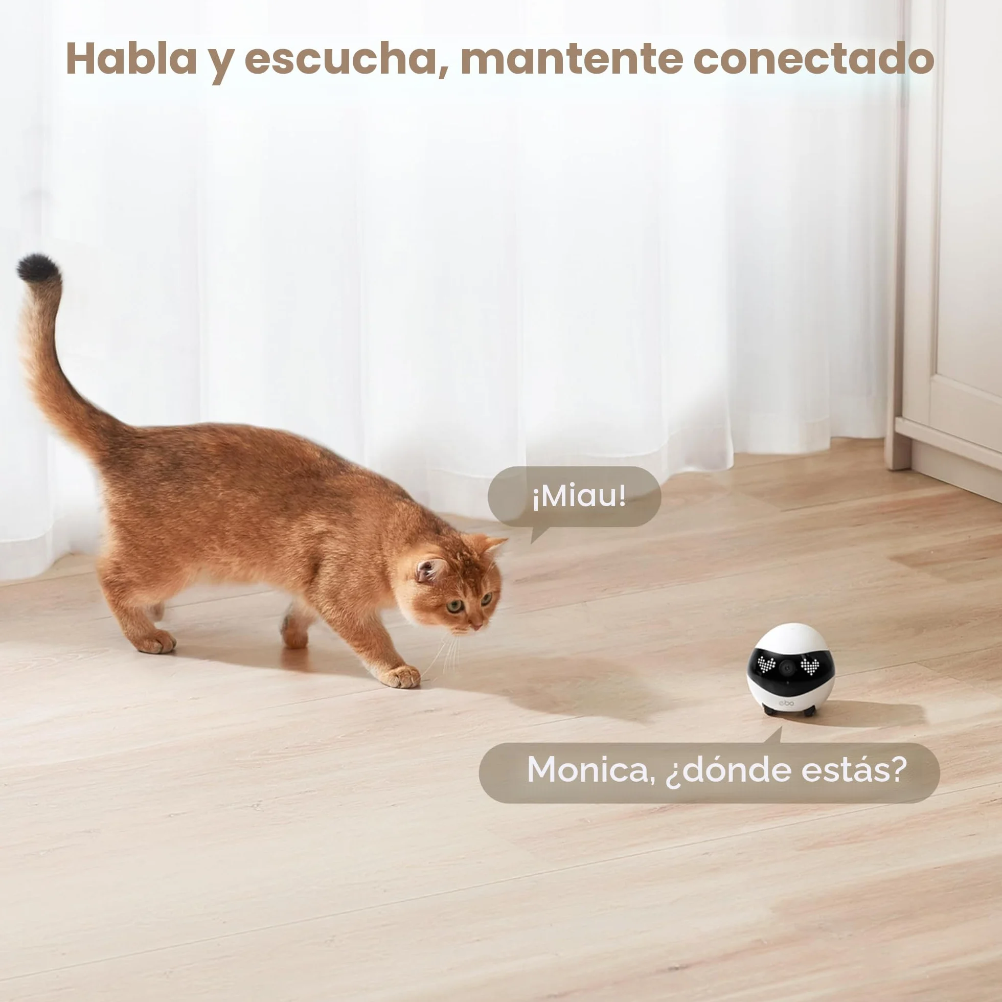 Enabot EBO Air 2 FamilyBot, cámara para mascotas con aplicación, 2 K cámaras móviles para animales de compañía con expresiones faciales personalizables, cámara inalámbrica para gatos con visión