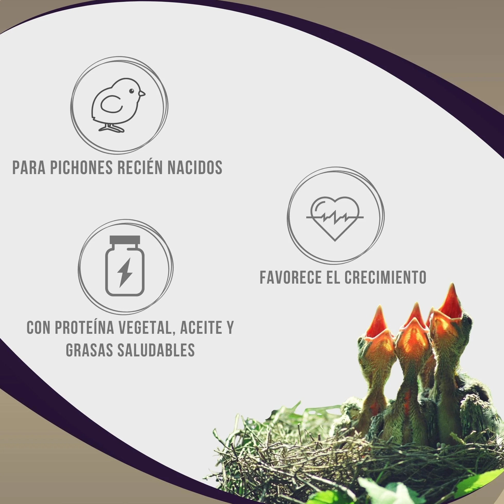 Aviantecnic Papilla Embuche Silvestres | Alimento Complementario para crías de pájaros | 400 g con Jeringa de Embuche Incluida