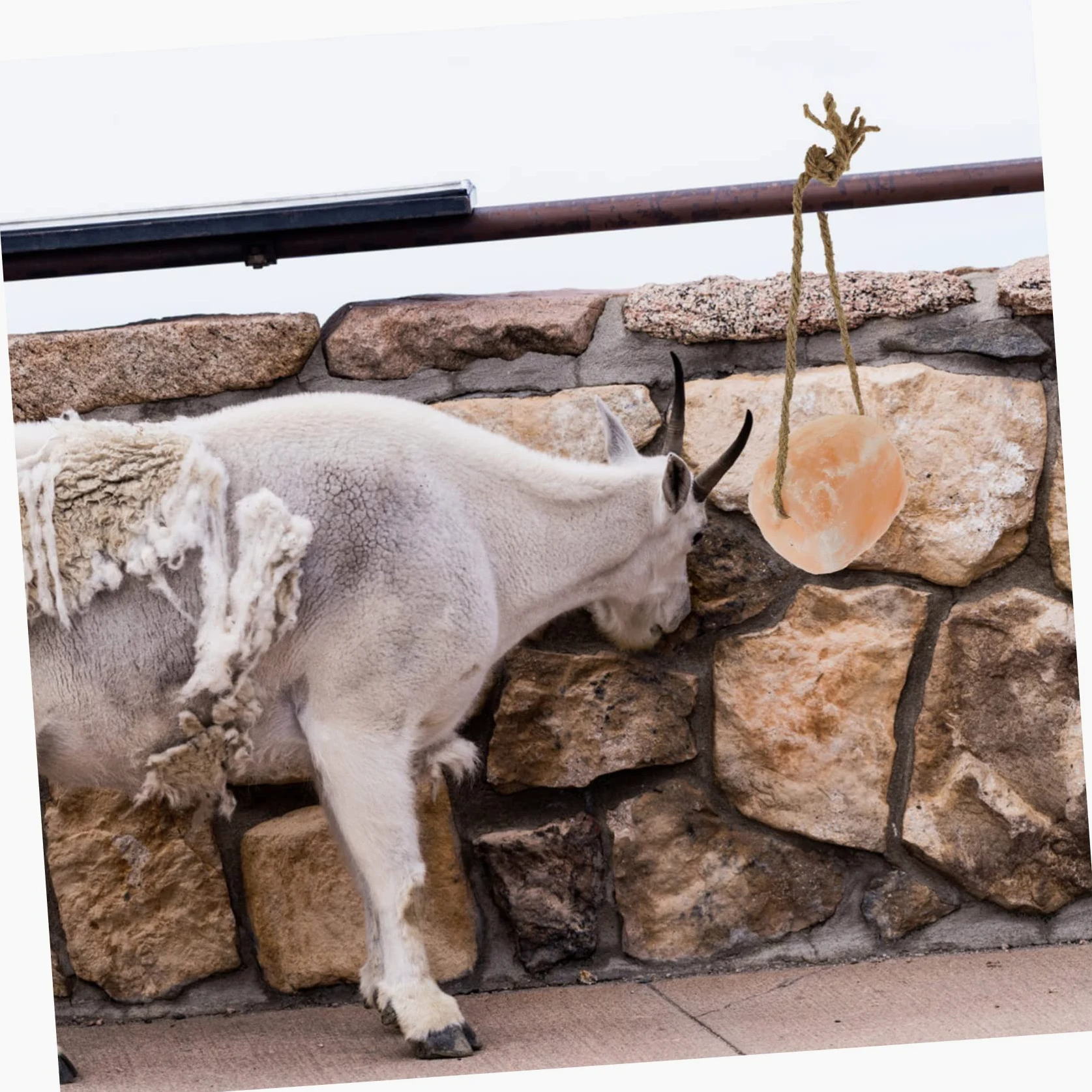 Toddmomy Ladrillo De Mineral Para Lamer Con Cuerda Lamedero Para Ganado Bloque De Roca Natural Para Mascotas Pequeñas Suministros Agrícolas