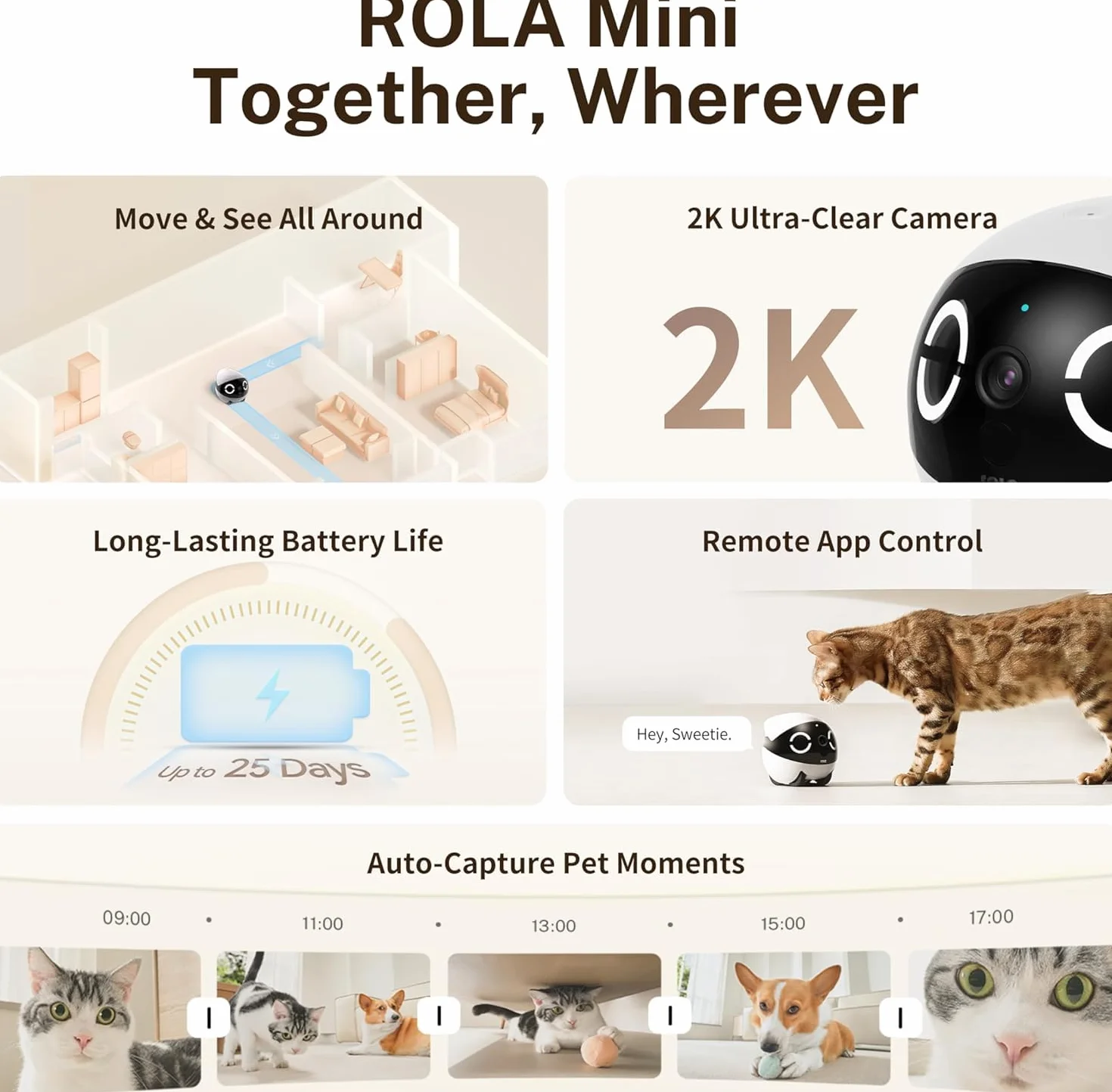 Enabot ROLA - Mini Robot Divertido para Mascotas