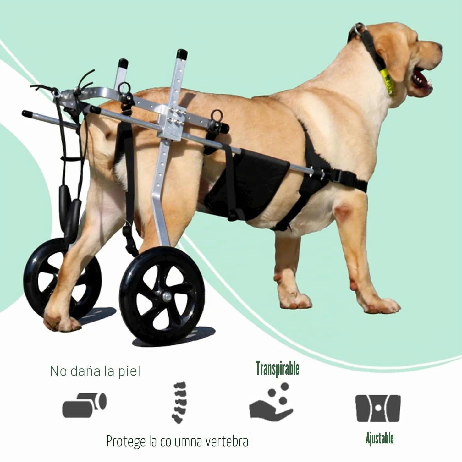 2 Ruedas Silla De Ruedas Ajustable Carro De Animales Con Discapacidad Física Scooter Para Mascotas Para Mascotas Silla De Ruedas Para Rehabilitación De Patas Animales Discapacitadas(Size:M（15-20kg）)