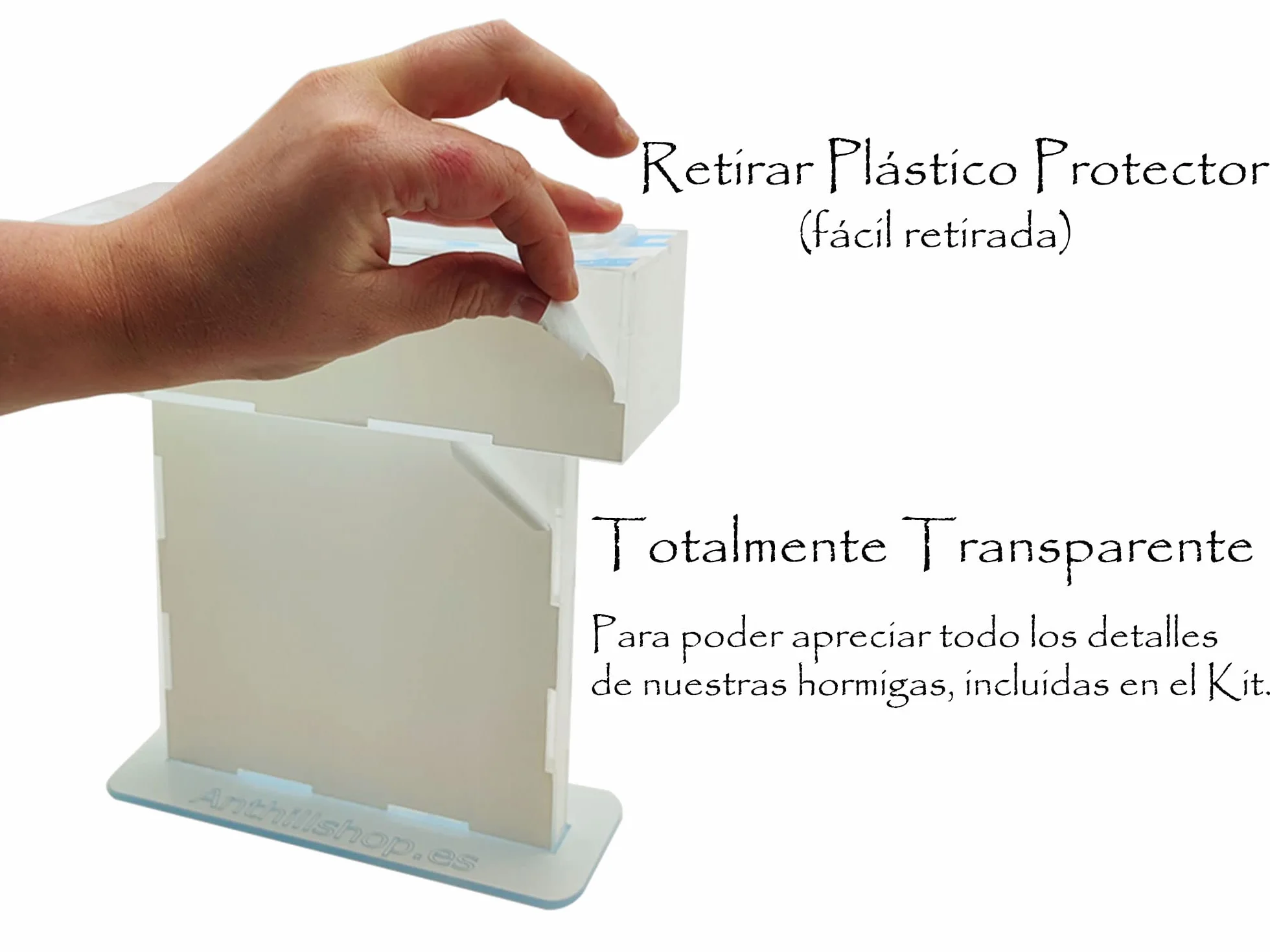 Hormiguero T- Pequeño de Arena Natural (acrílico) - con Hormigas Incluidas┃de 20-30 Hormigas.