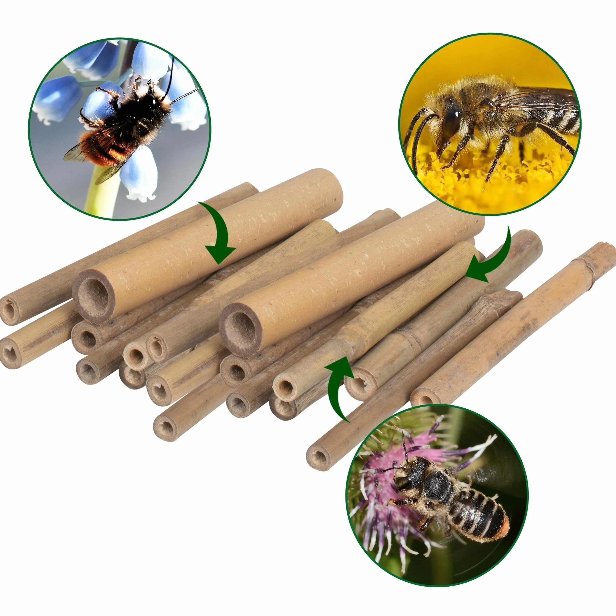 GARDIGO® Tubos de bambú para Hotel de Insectos, 150 Unidades, Tubos de anidación de bambú para Abejas Silvestres, Accesorios para casa de Insectos, Hotel de Abejas, casa de Abejas Silvestres, caña de