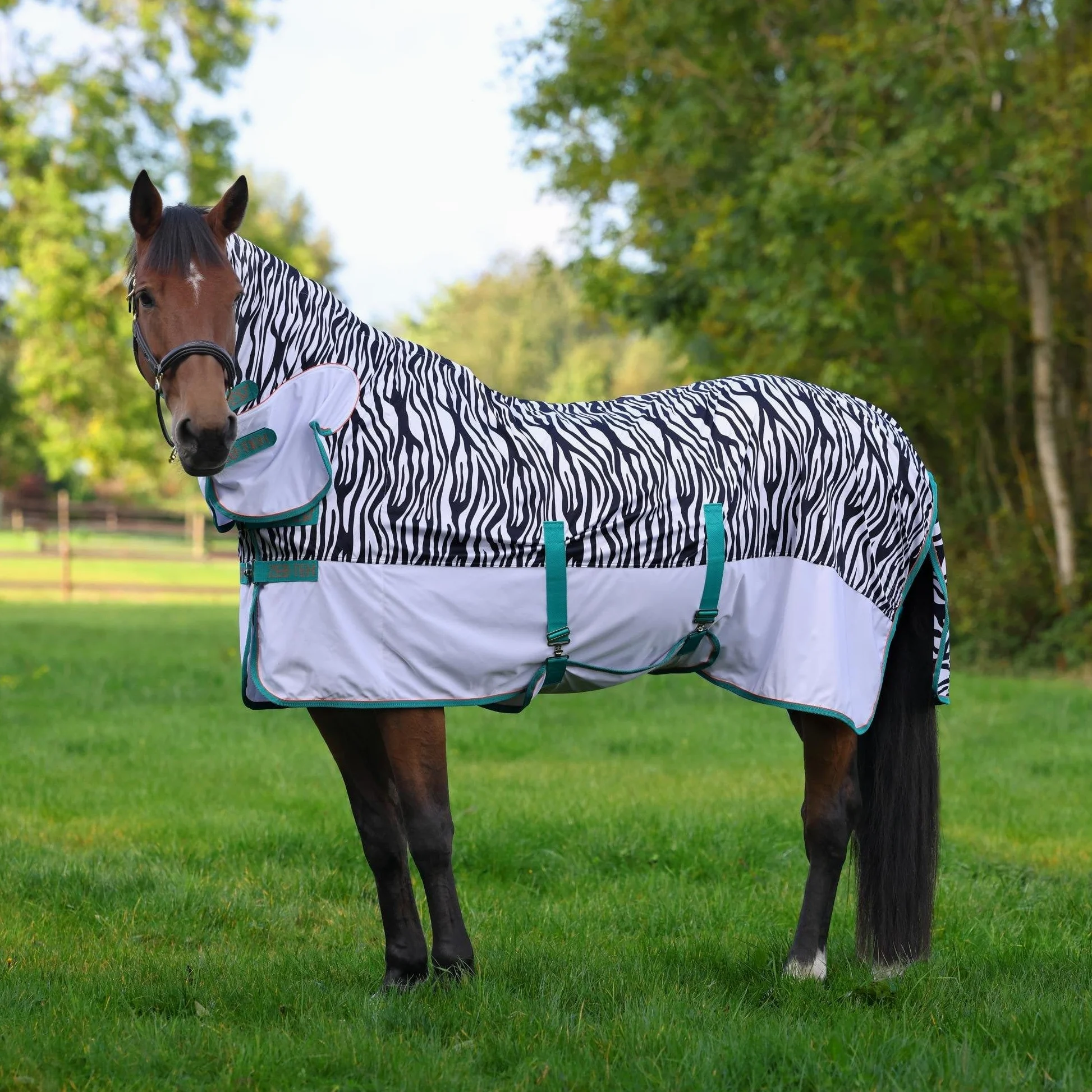 Shires Tempest Zebra Pony/caballo volar para caballos, diseño de cebra: 5 ft3 "
