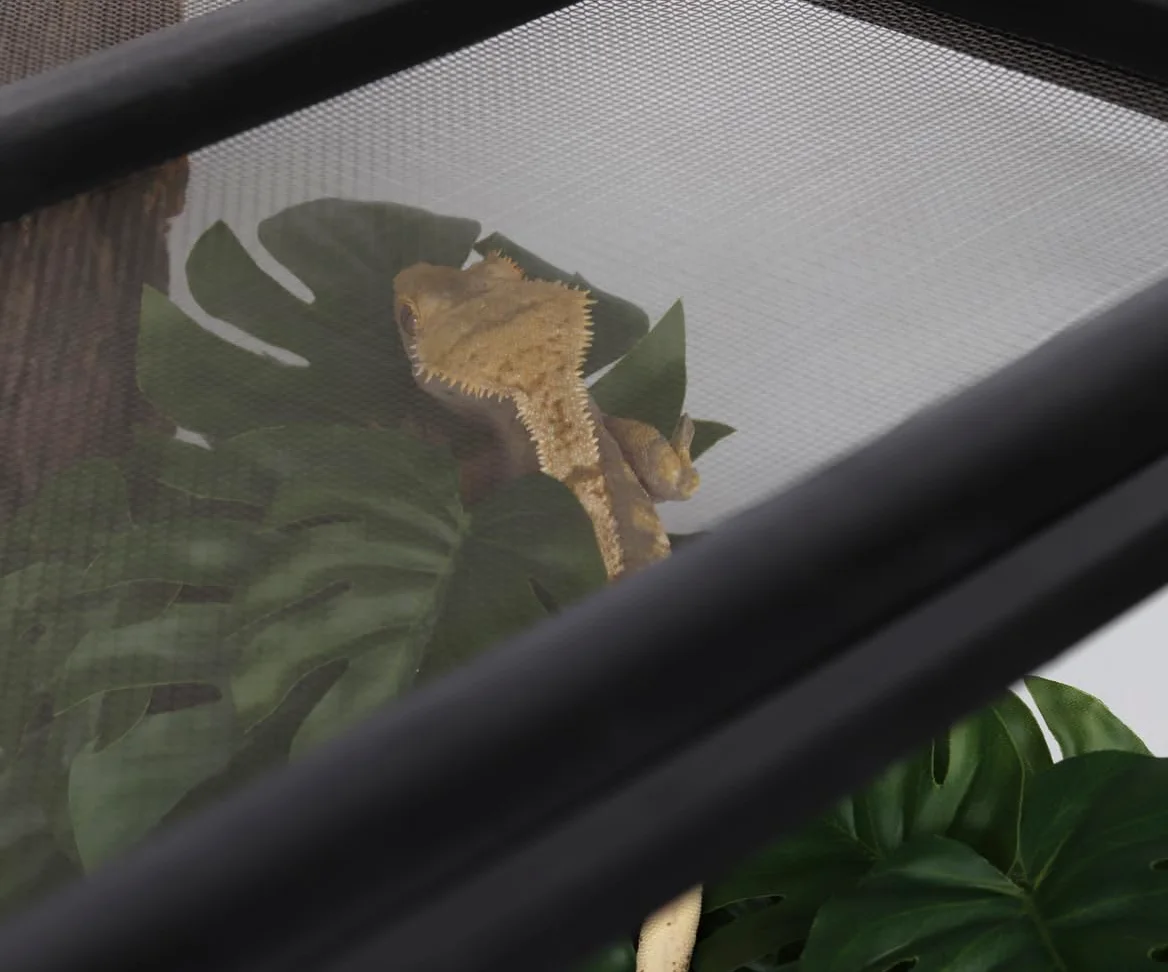 Paquete de 2 plantas falsas de reptiles para terrario, accesorios de tanque de serpiente, decoración de hábitat, plantas colgantes artificiales con ventosa, Monstera falsa