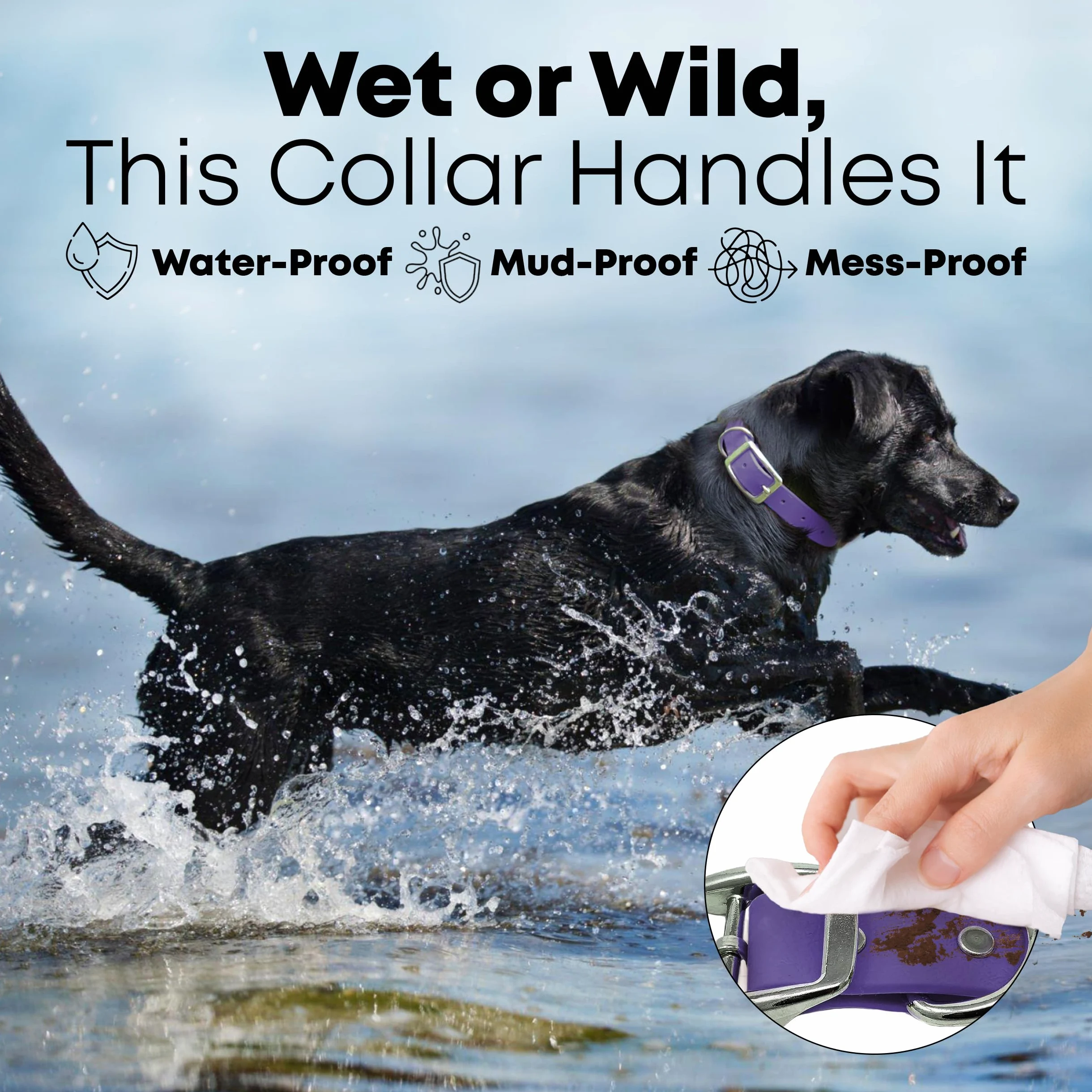 Regal Dog Products Collar de Perro Impermeable Morado - Correas revestidas de Vinilo de Ajuste Personalizado, Hebilla Doble y Anillo en D para Perros pequeños o Cachorros