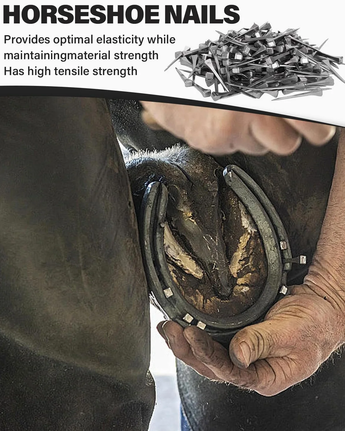 50 Piezas Clavo de Herradura, 51 mm Clavos de Acero de Caballo, Acero Carbono, no Fácil Oxidar, Caballo Clavo de Pezuña para Arreglar Herraduras, Plateado