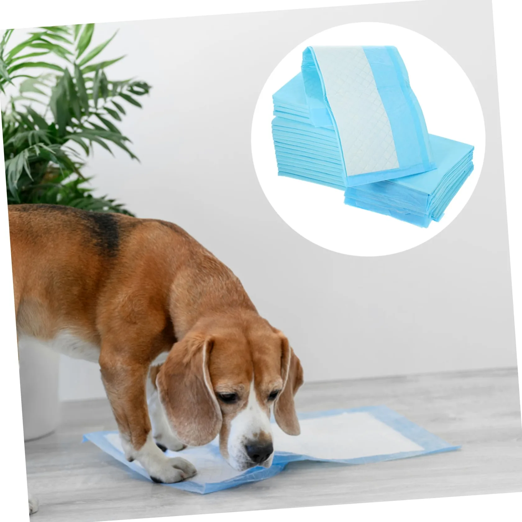 TOYANDONA Alfombrillas Sanitarias para Mascotas Absorbentes Y Resistentes Al Agua Entrenamiento para Perros Y Cachorros para Casa Y 50 Piezas*2