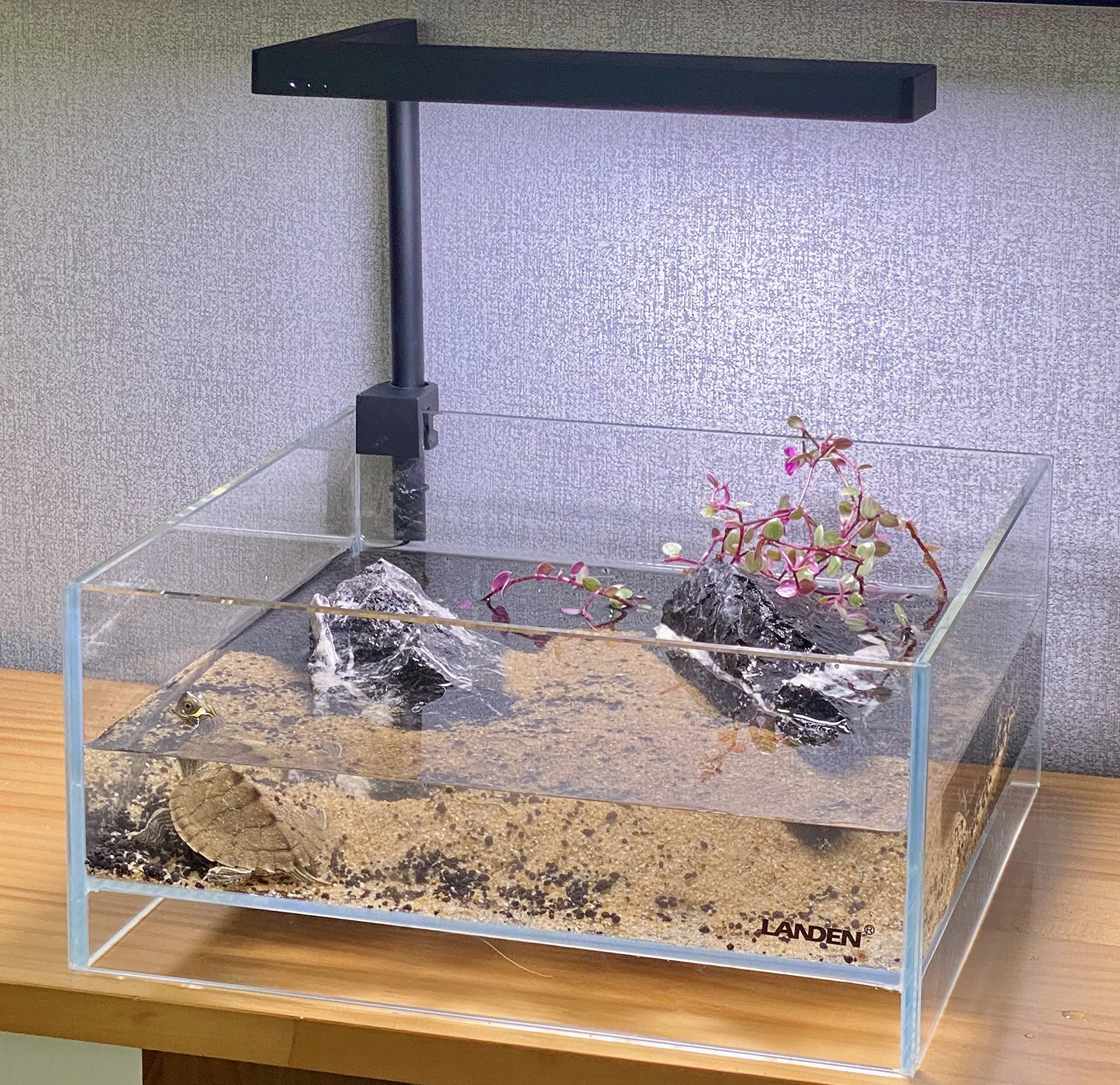 LANDEN Tanque de Aire de Vidrio para Acuario multiescena, Tanque Poco Profundo de Hierro sin Borde de 1.6 galones, 10.6 x 10.6 x 4.7 Pulgadas (27 x 27 x 12 cm), 5 mm de Grosor