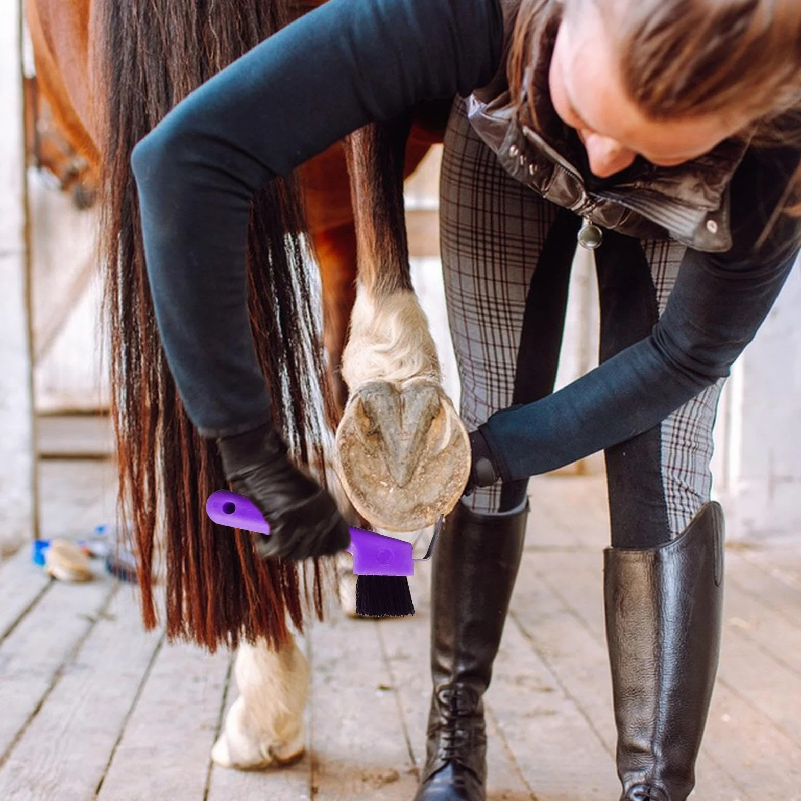 Selección De Pezuñas De Caballo - Cepillos Y Pulidor De Pezuñas De Caballo 2 En 1 | Púa De Pezuña Colorida Con Mango Ergonómico Para Suministros De Limpieza Y Aseo De Caballos Para Niños Y Niñas