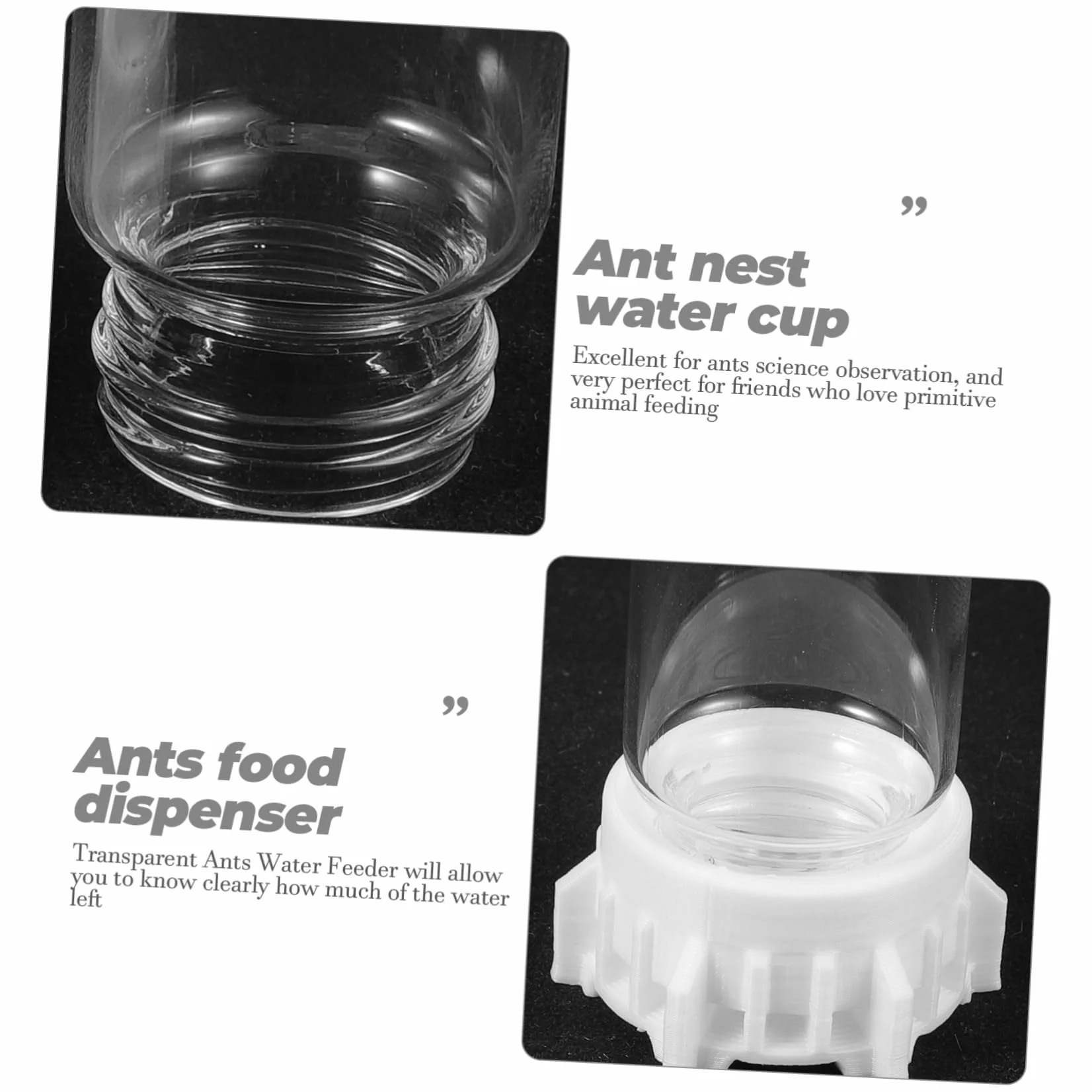 POPETPOP Bebedero para Hormigas de 20ml Diseño Profesional y Resistencia al Desgaste, Dispensador de Agua de Vidrio y Plástico Adecuado para Observación Científica en Verano