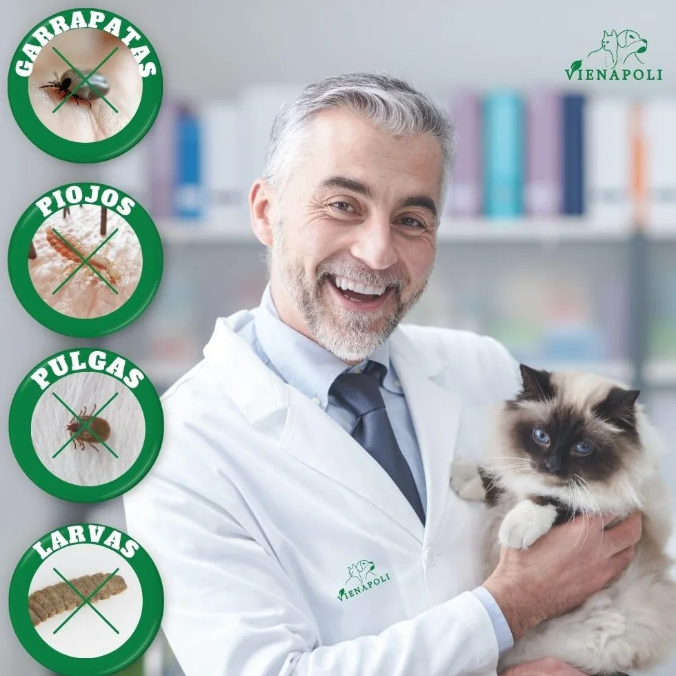 Collar antipulgas y garrapatas para Gatos, Resistente al Aqua, protección Activa de hasta 8 Meses, 33 centimetros, para qualquier tamaño de Gato