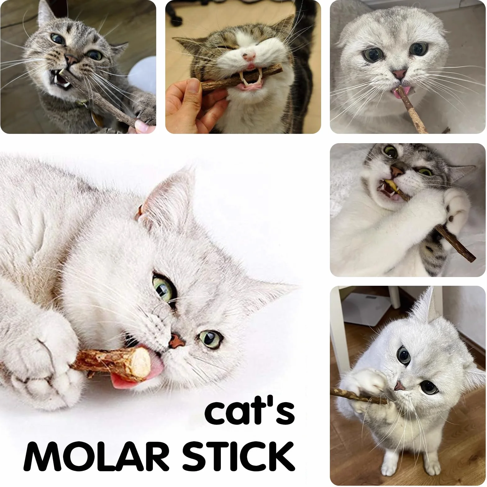 Juguete Gato,Palitos Masticables Matatabi para Gatos,Juguete para morder para Gatos Natural Matatabi Dental,Paquete de 30 Unidades