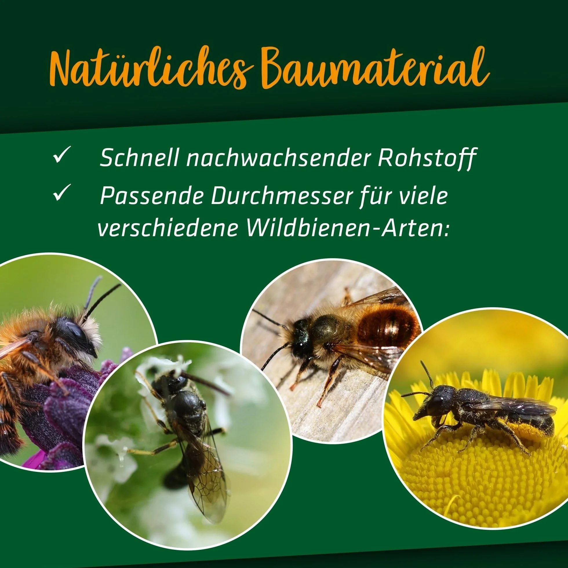 Gardigo® Paquete de 150 I Tubos de Bambú Premium I Relleno para Casa de Bichos, Casa para Abejas, Hotel de Insectos, Casas para Mariposas I Seguros para el Medio Ambiente
