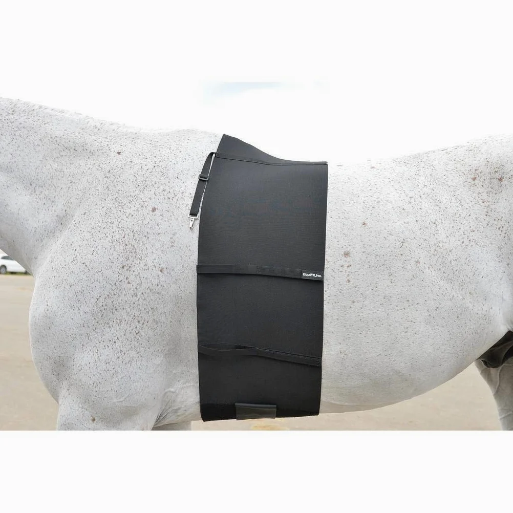 EquiFit Banda para el vientre para caballo de protección de espolones